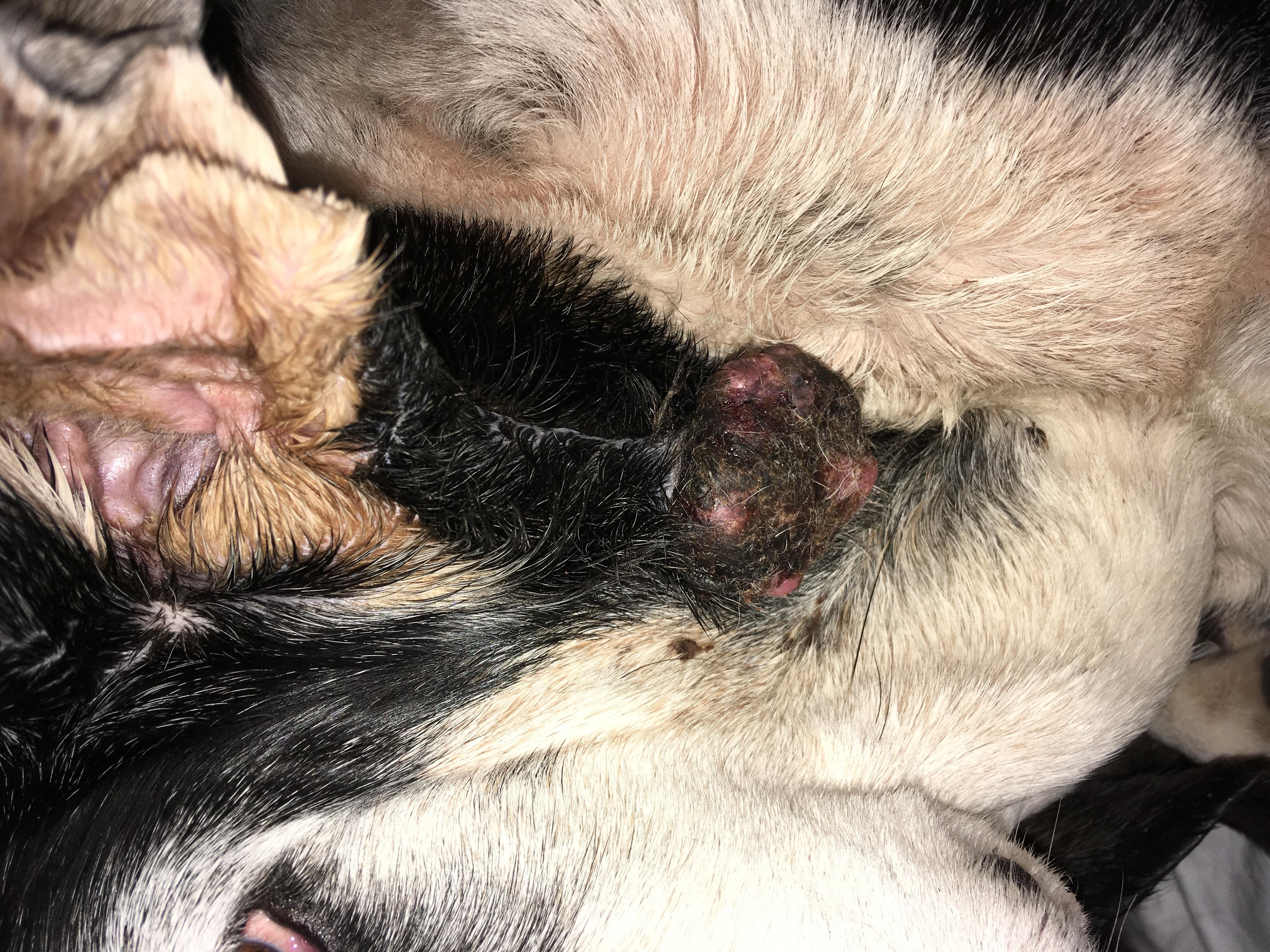 Question details sensitive content