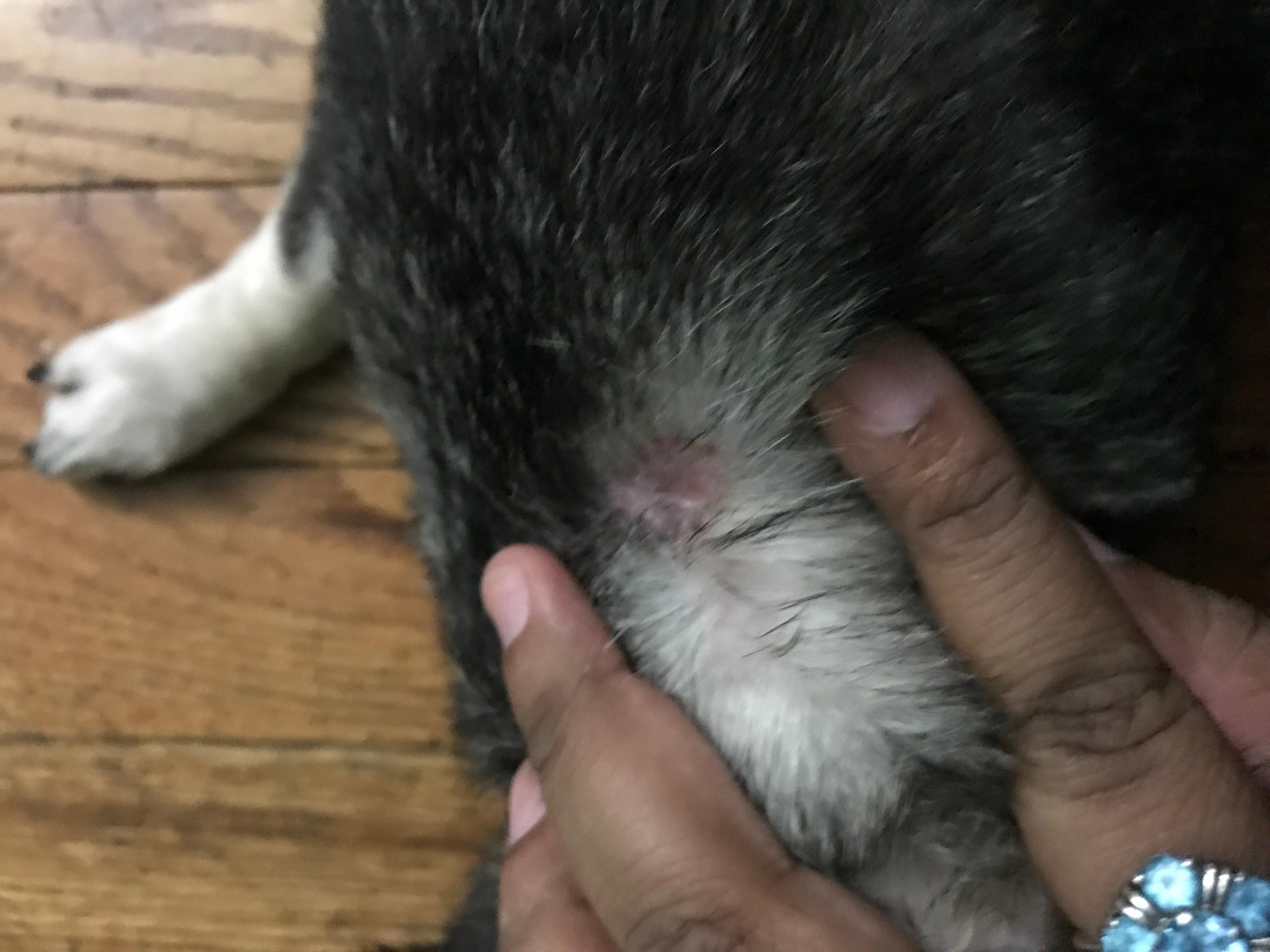 Question details sensitive content