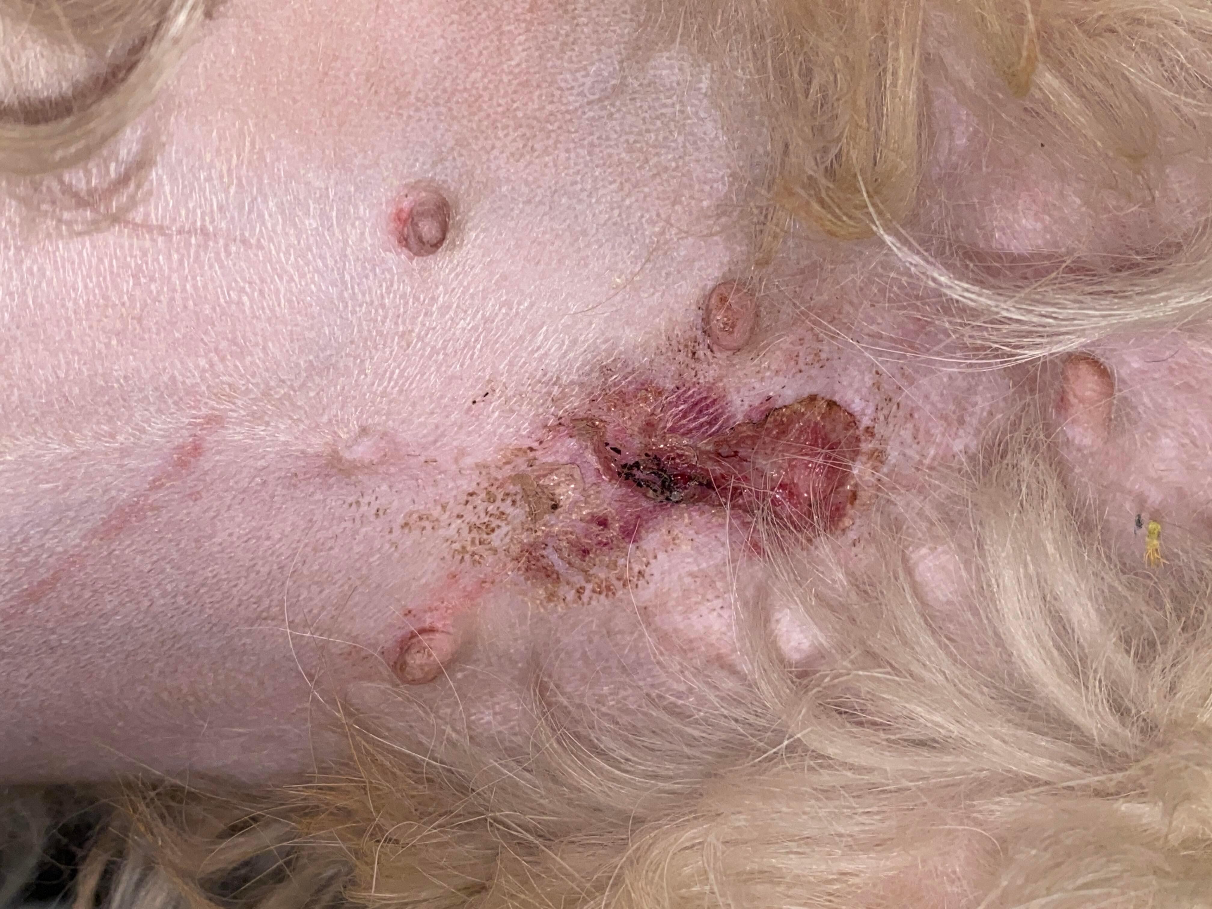 Question details sensitive content