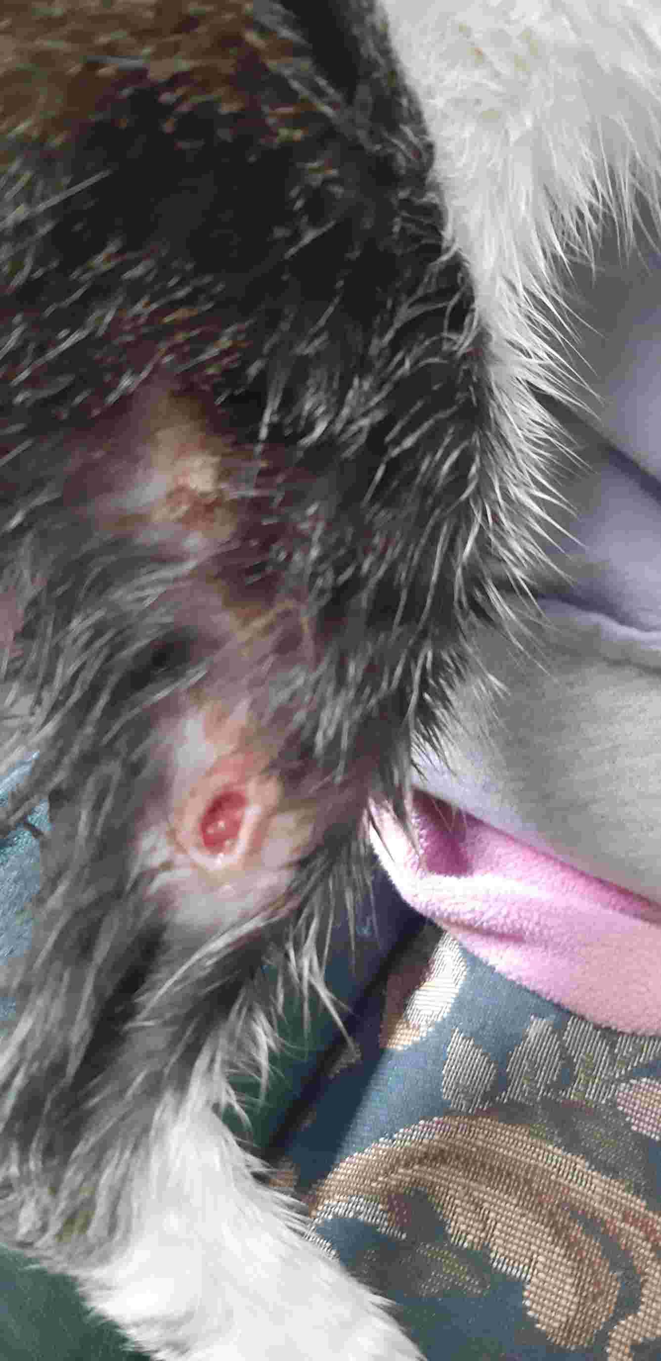 Question details sensitive content