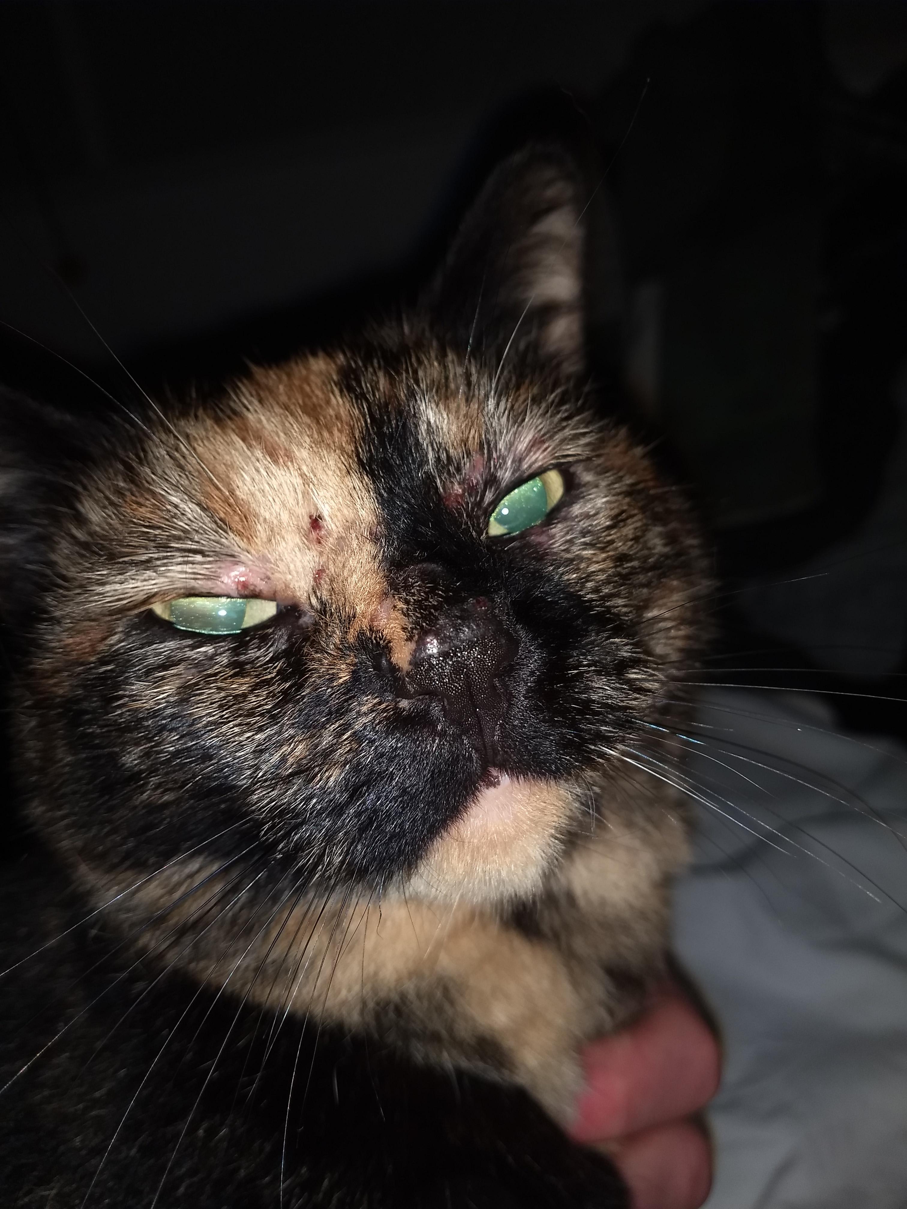 Question details sensitive content