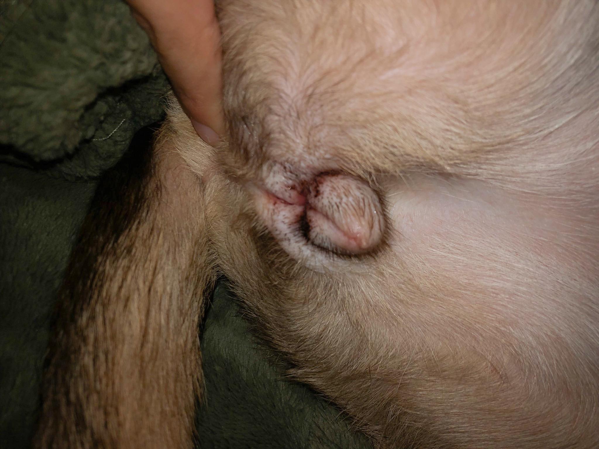 Question details sensitive content