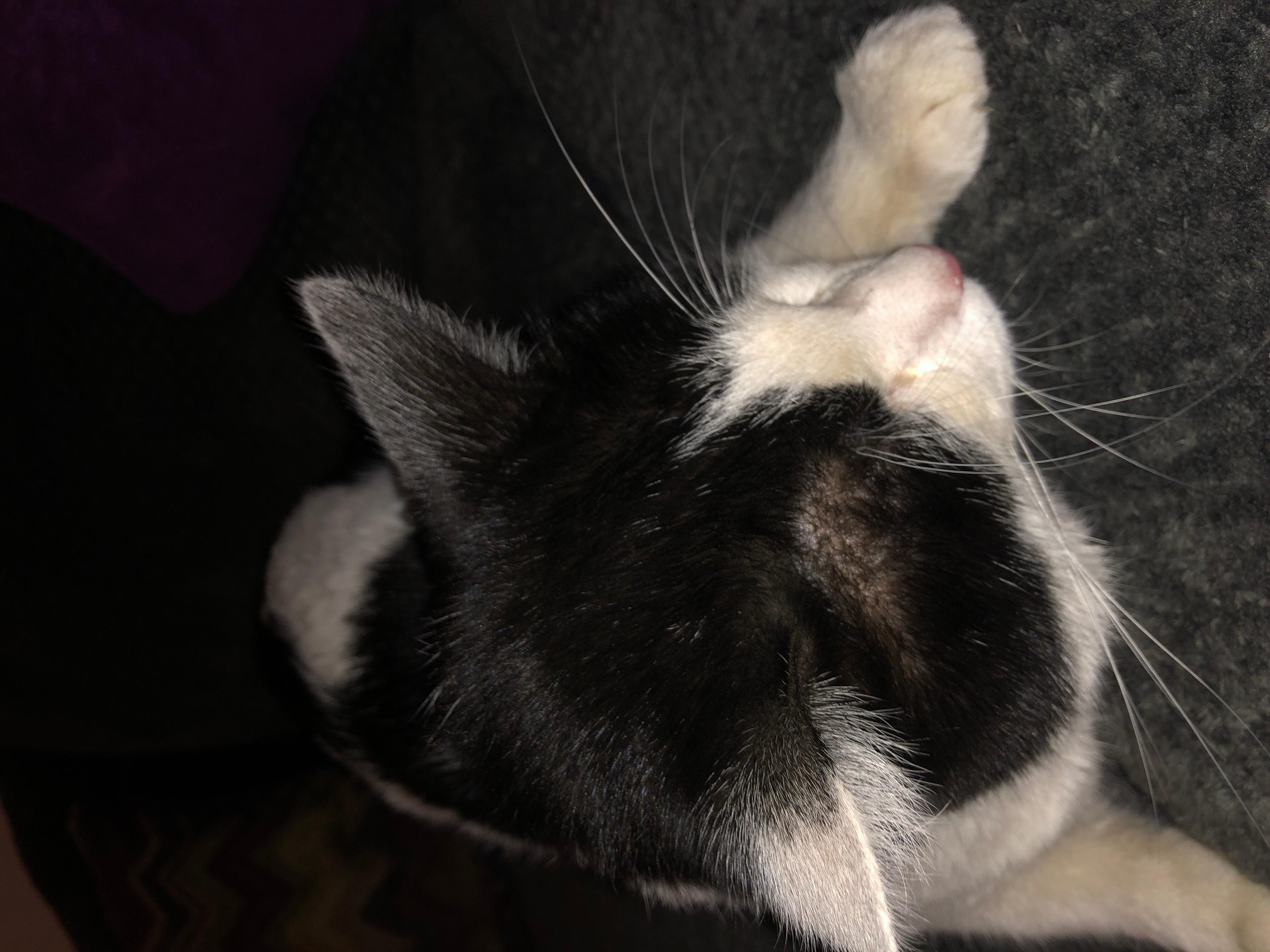 Question details sensitive content