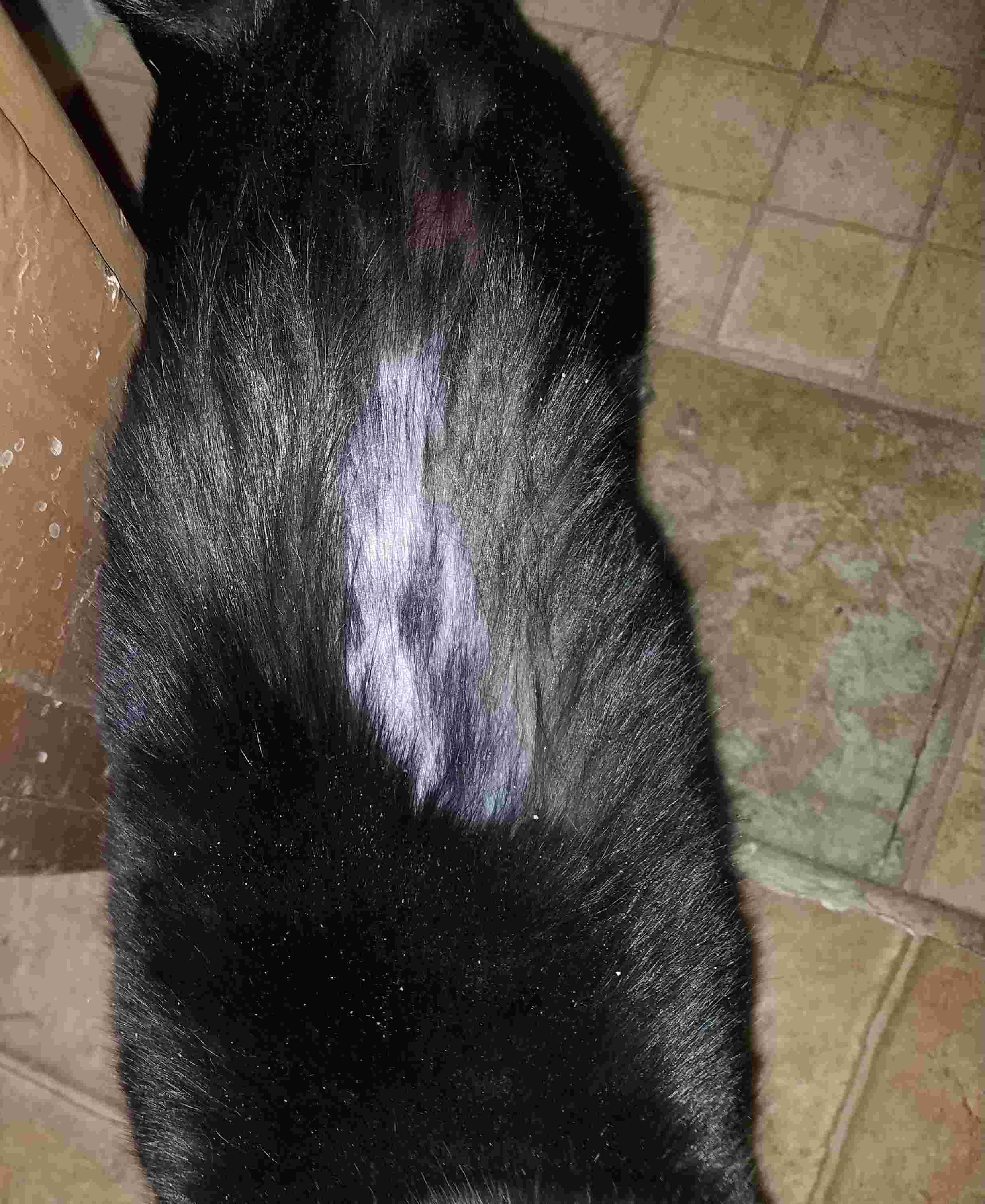 Question details sensitive content