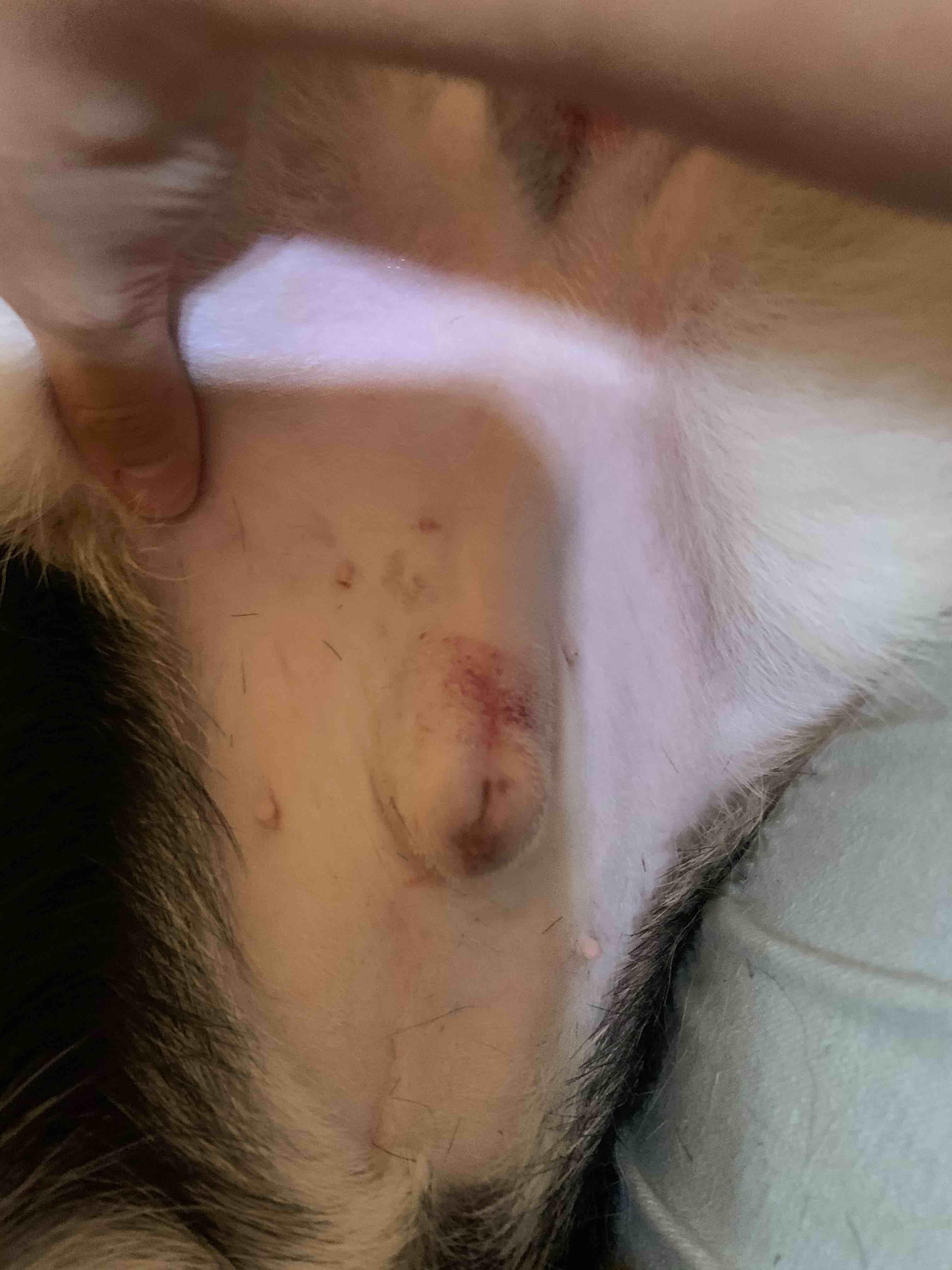 Question details sensitive content