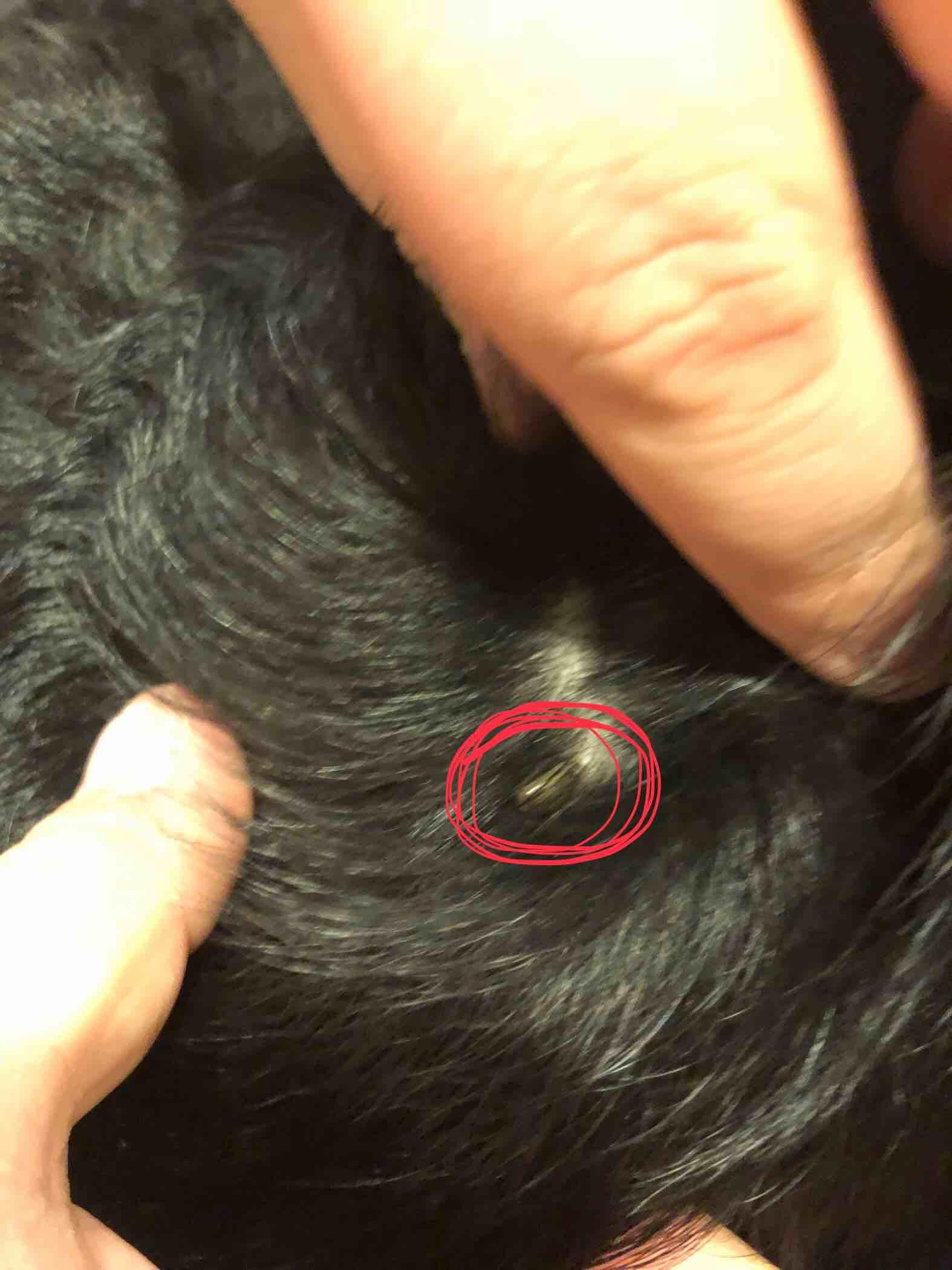 Question details sensitive content