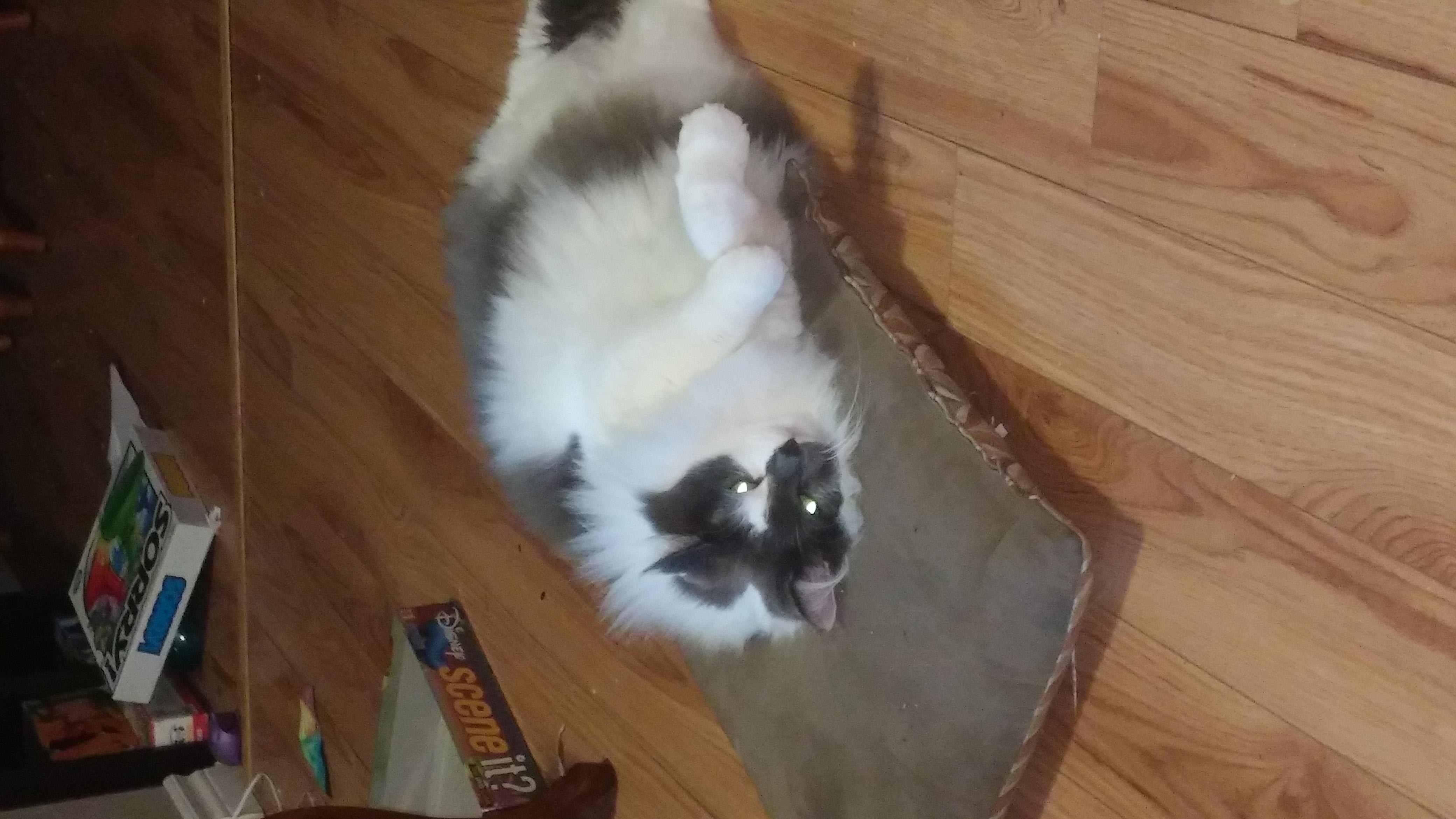 Question details sensitive content