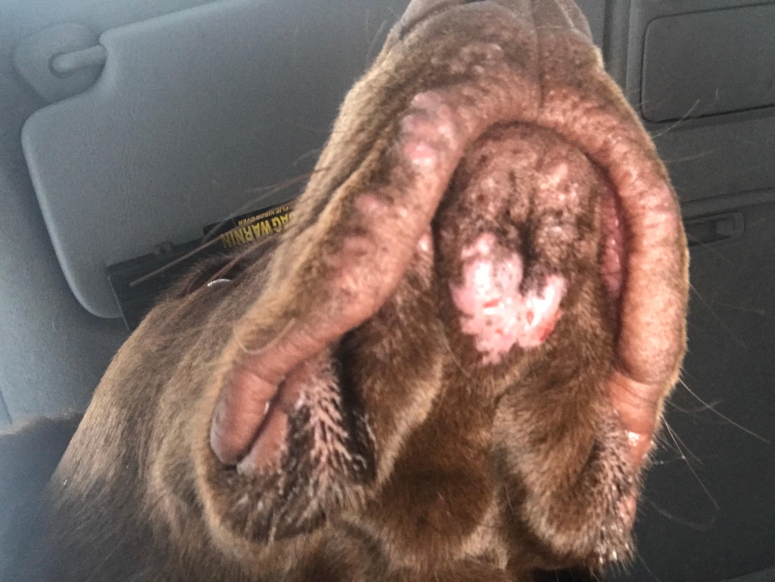 Question details sensitive content