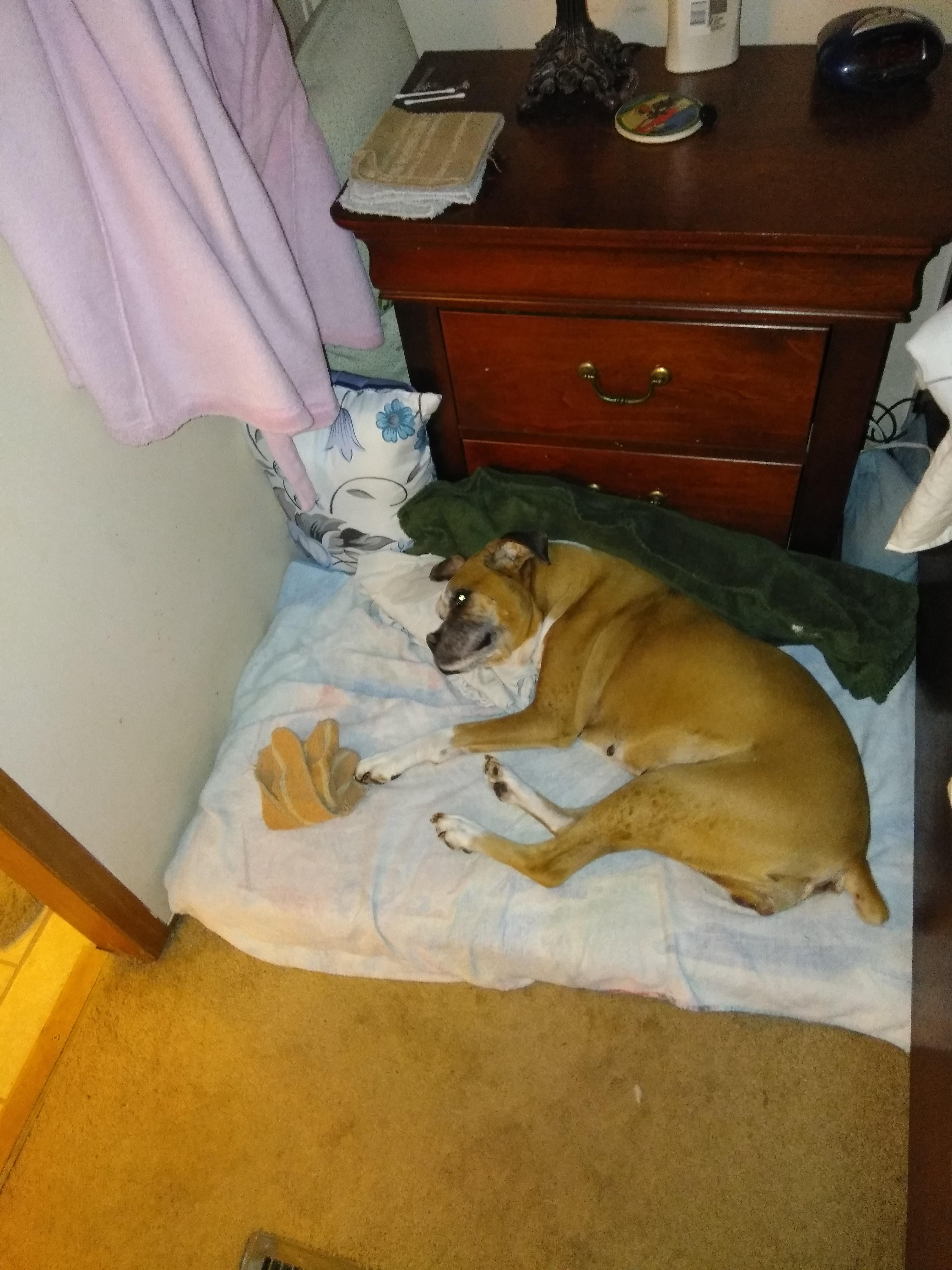 Question details sensitive content