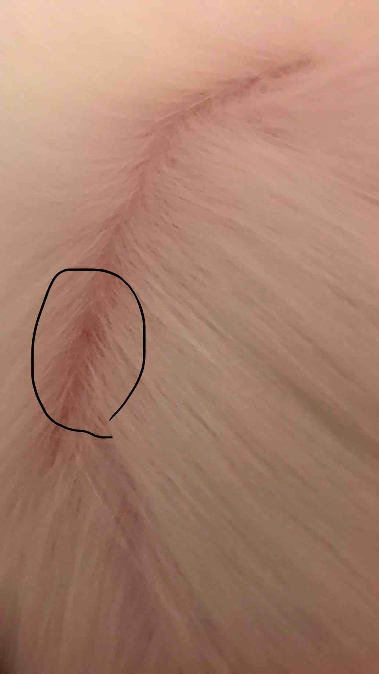 Question details sensitive content