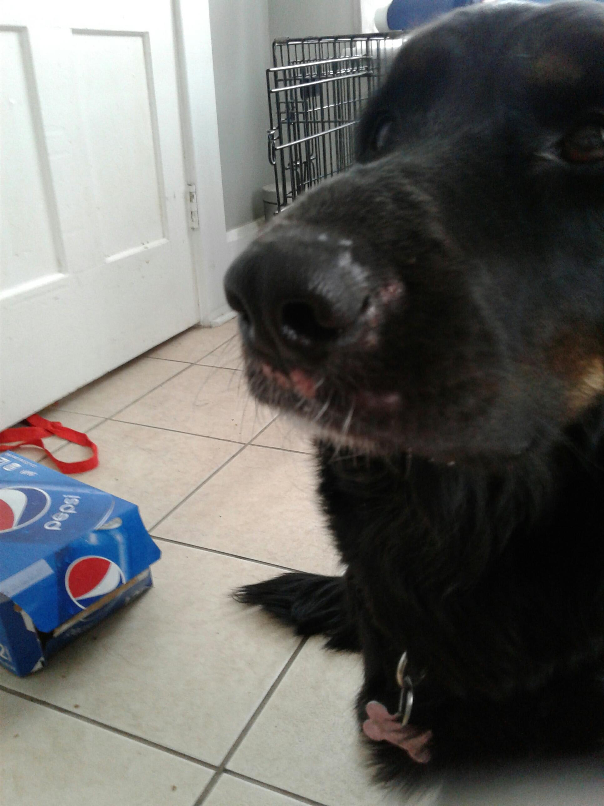 Question details sensitive content