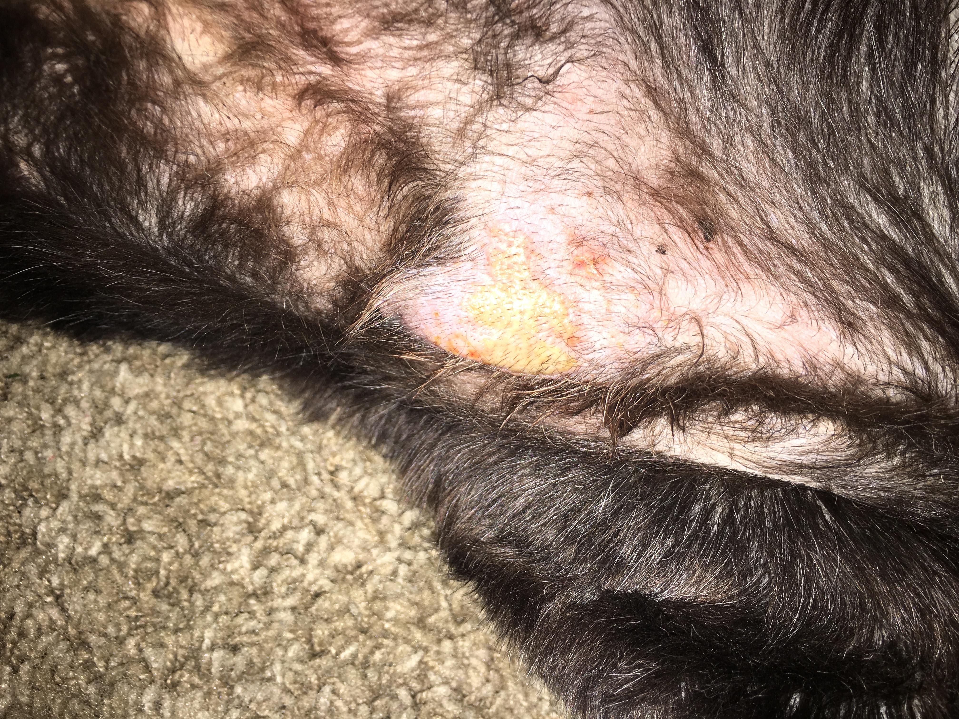 Question details sensitive content