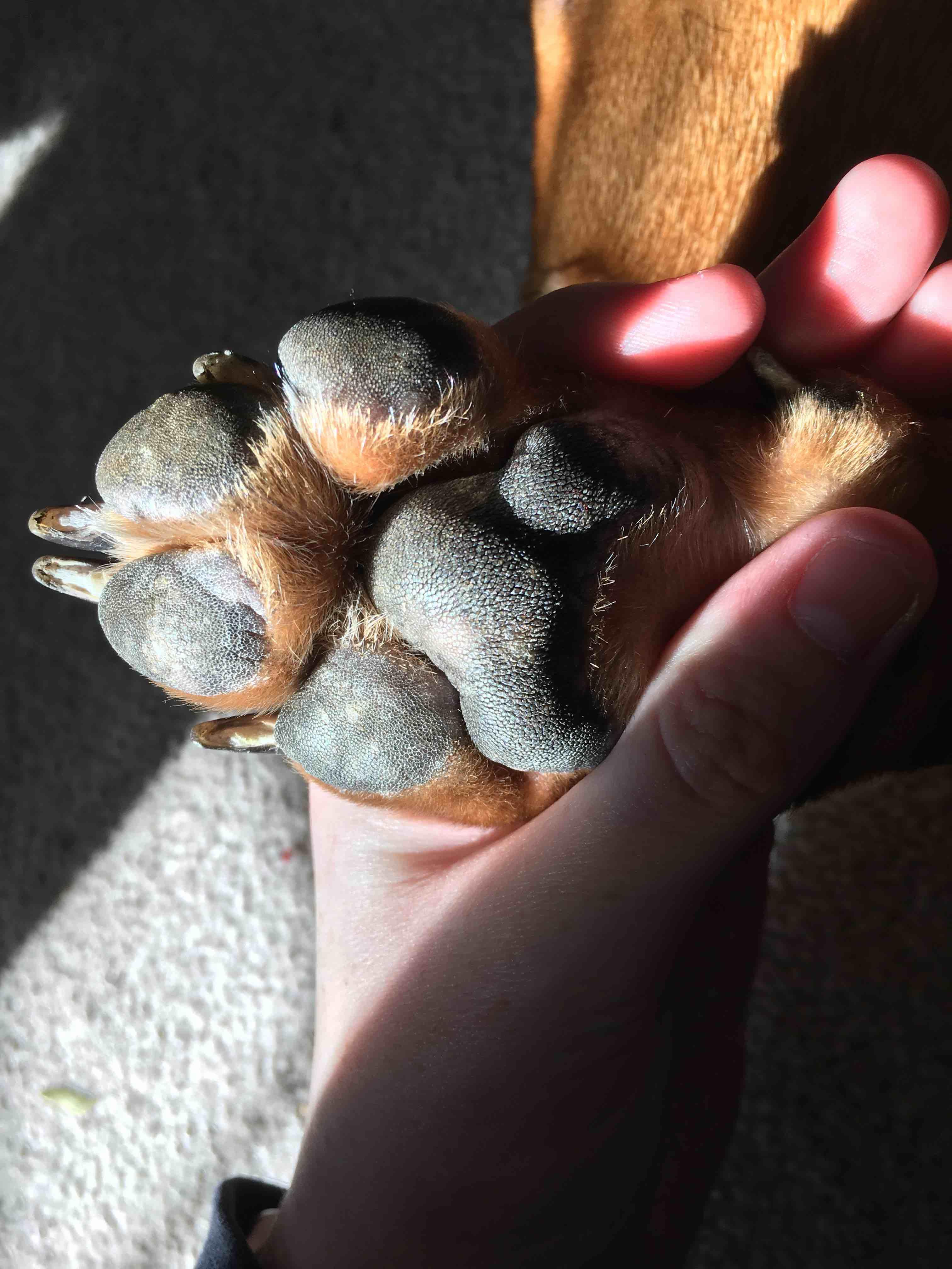 Question details sensitive content