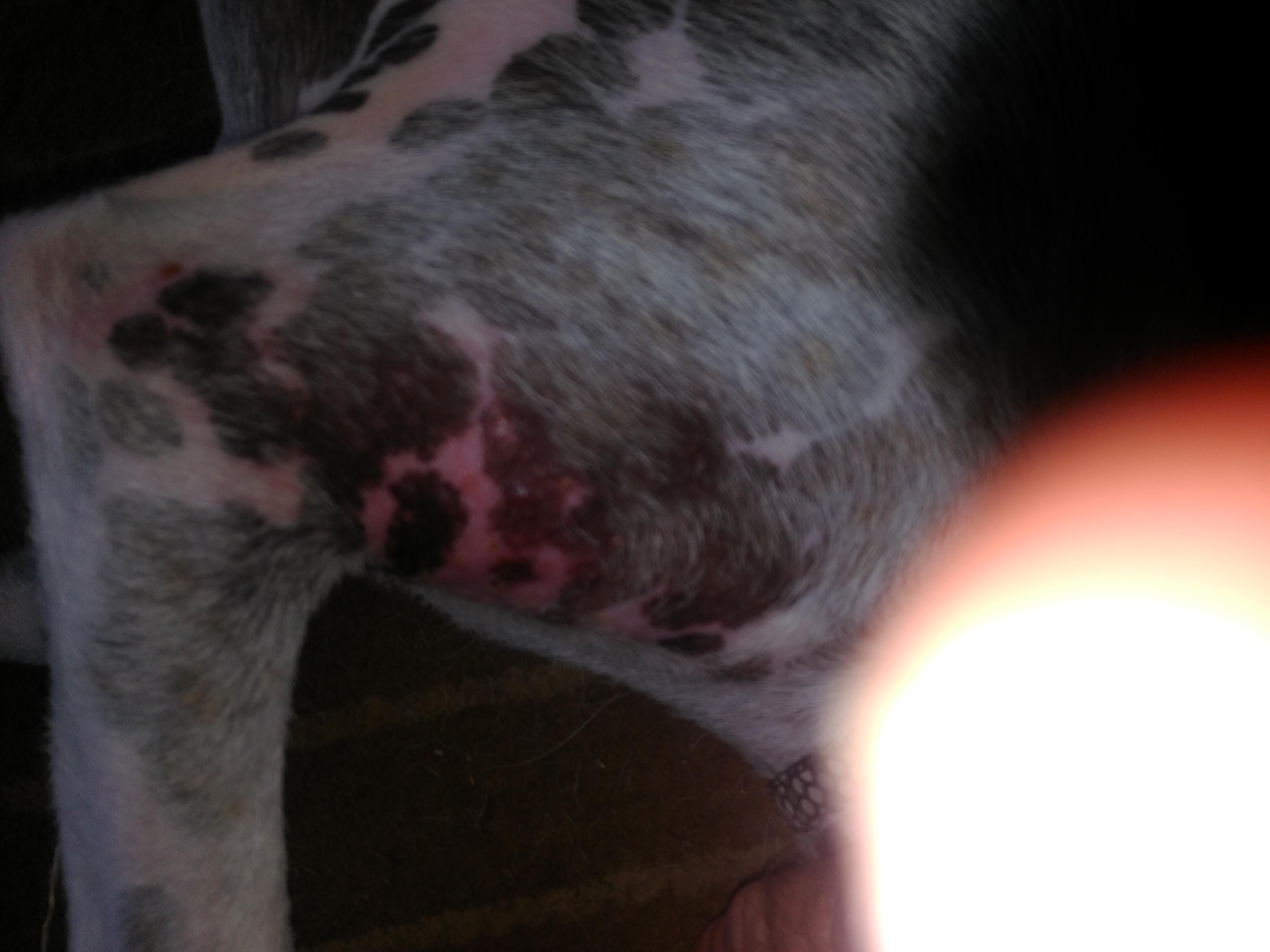 Question details sensitive content