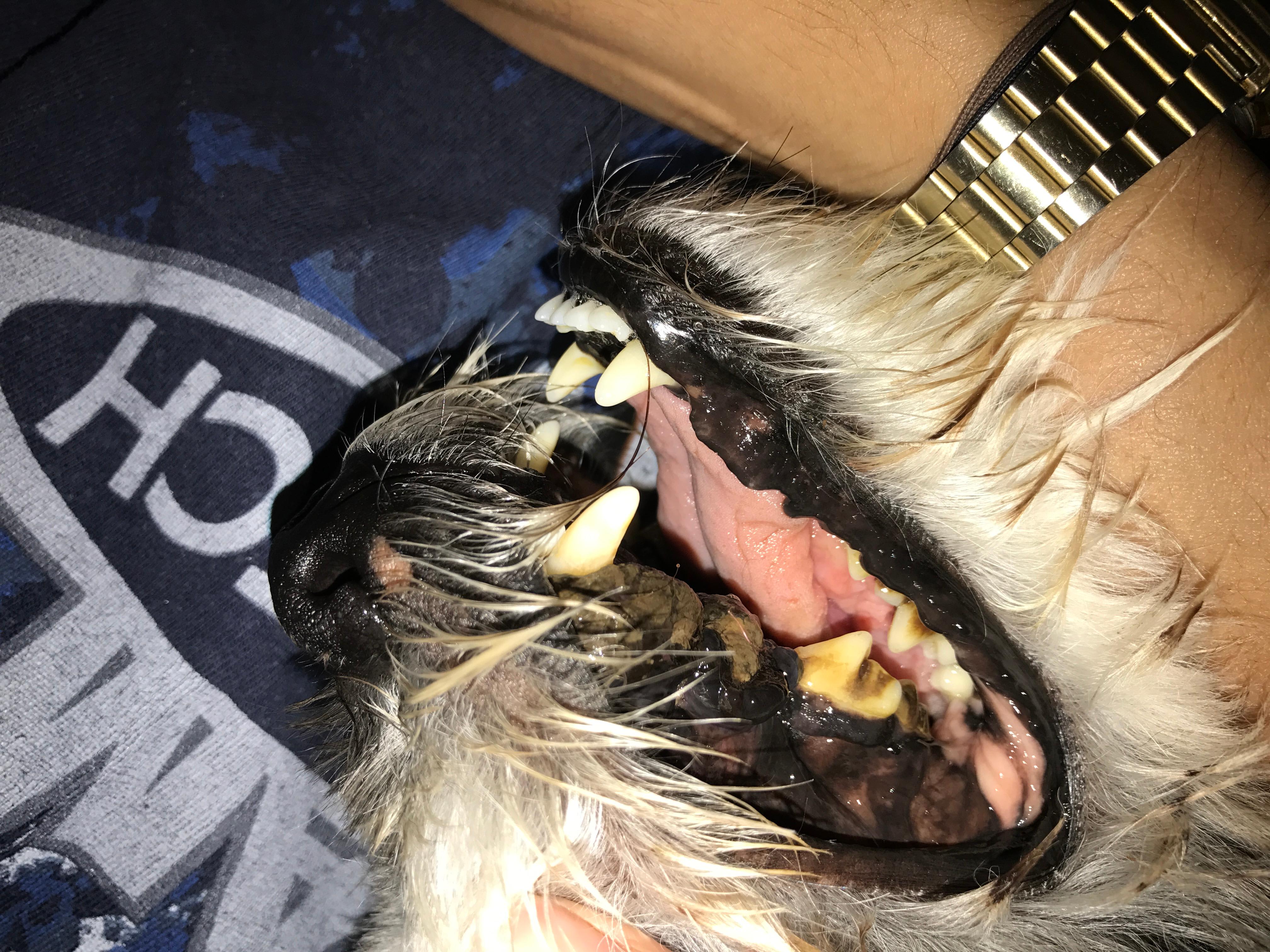 Question details sensitive content