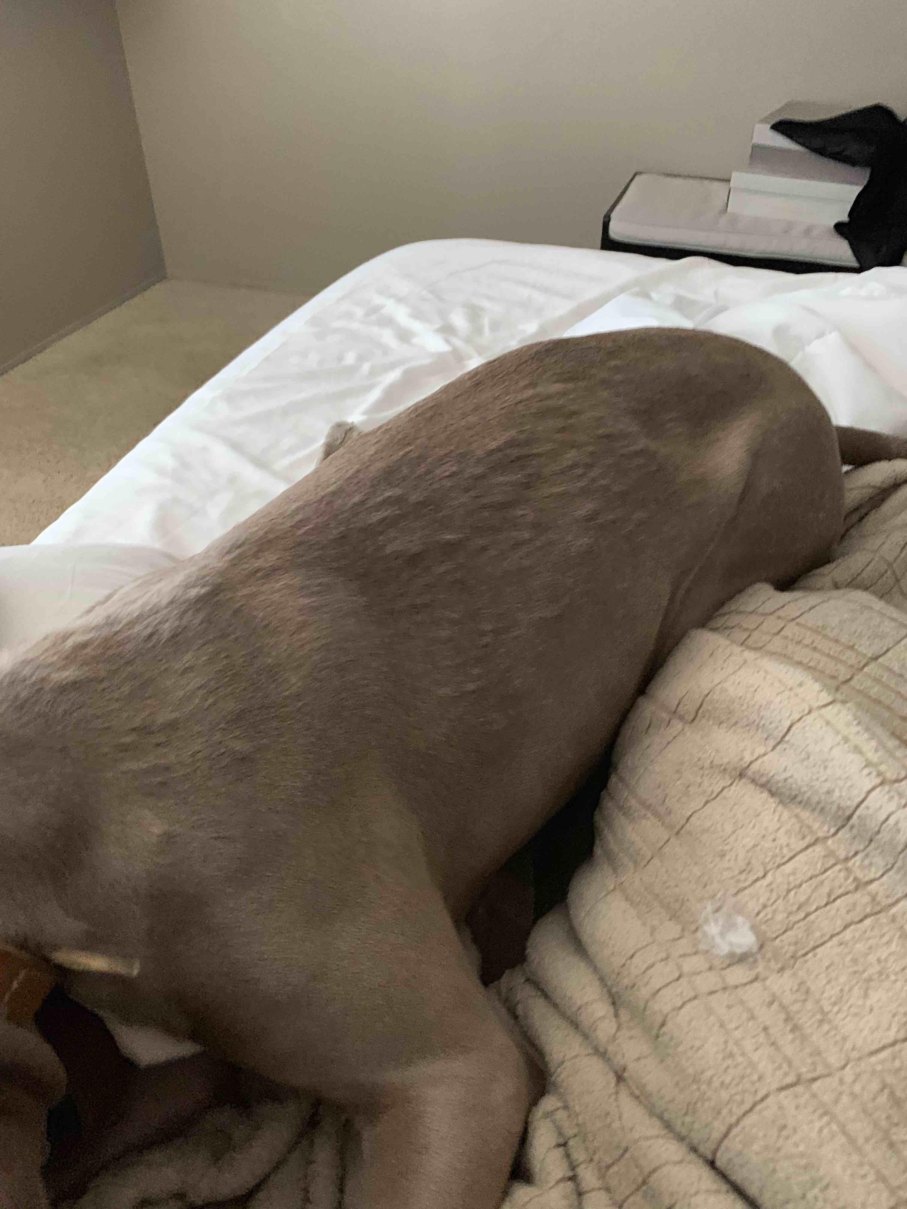 Question details sensitive content