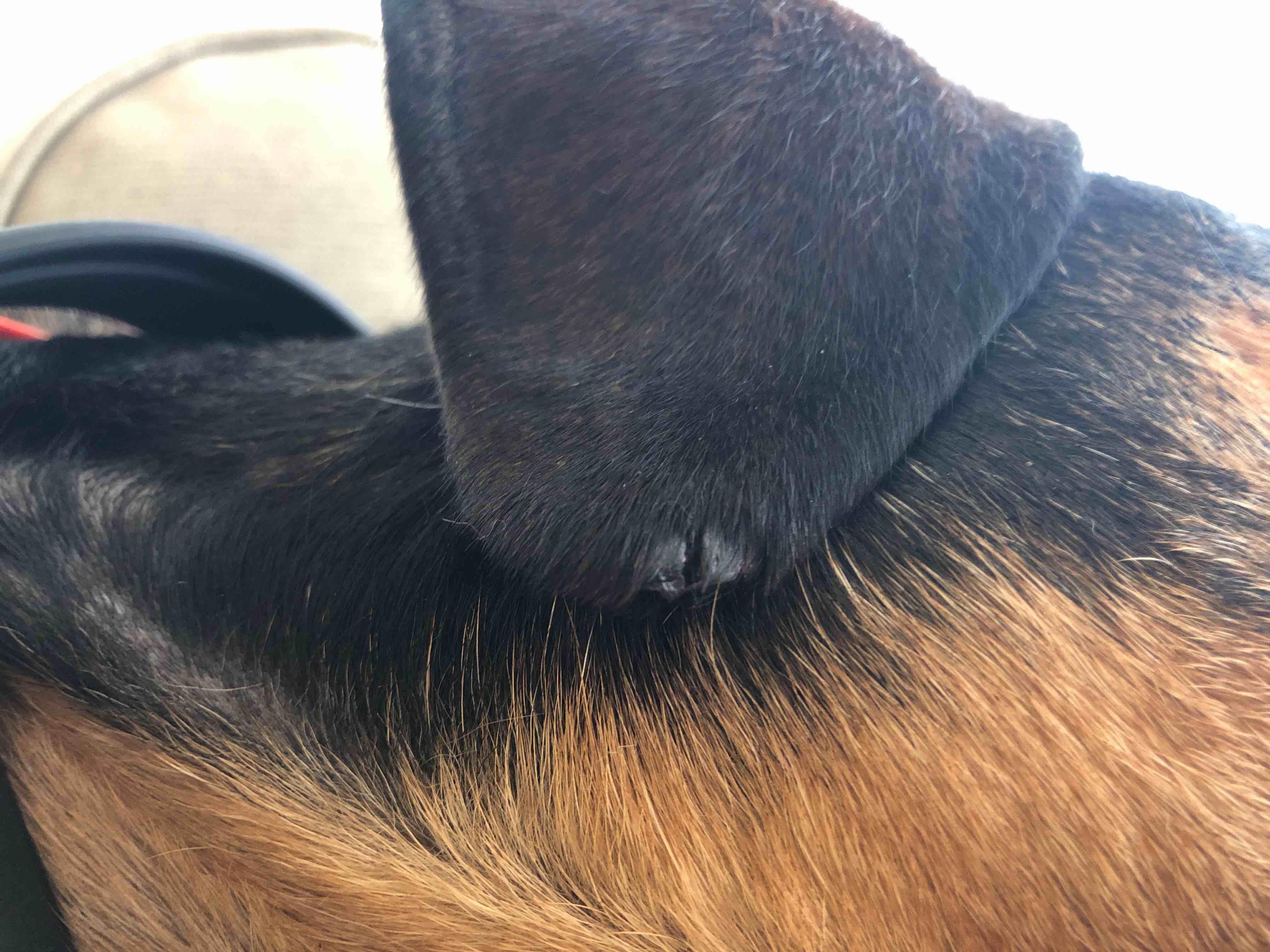 Question details sensitive content