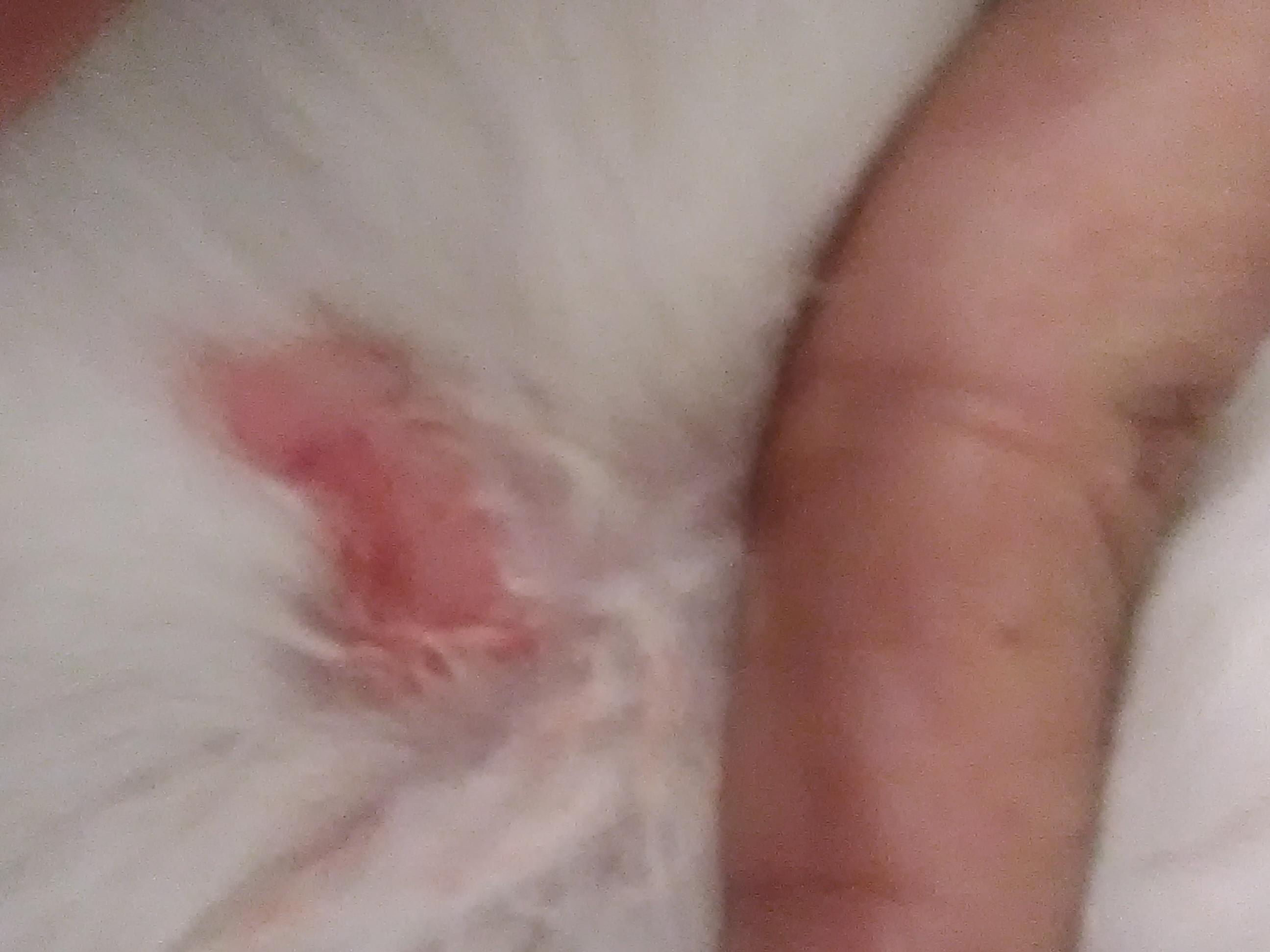 Question details sensitive content