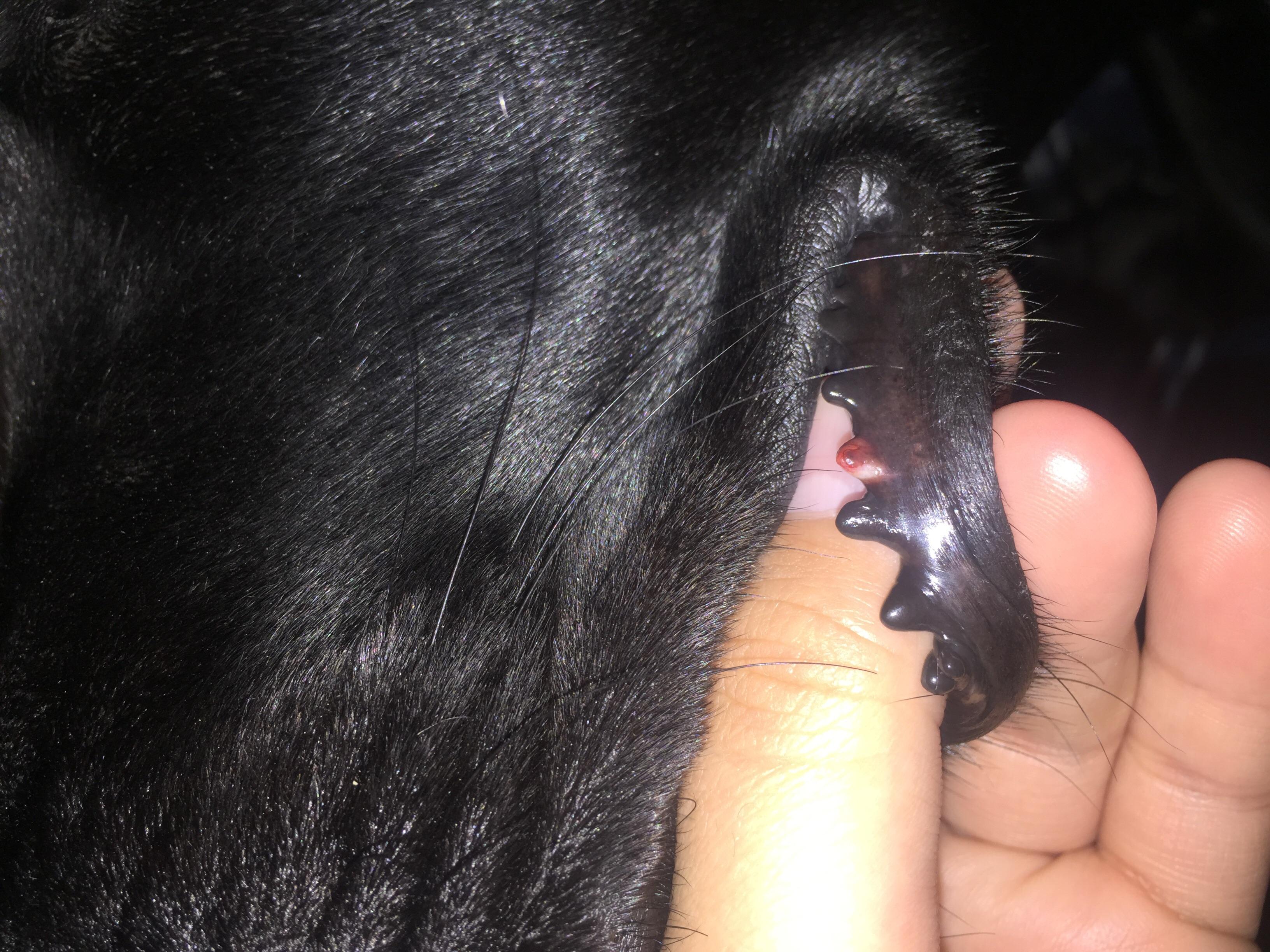 Question details sensitive content