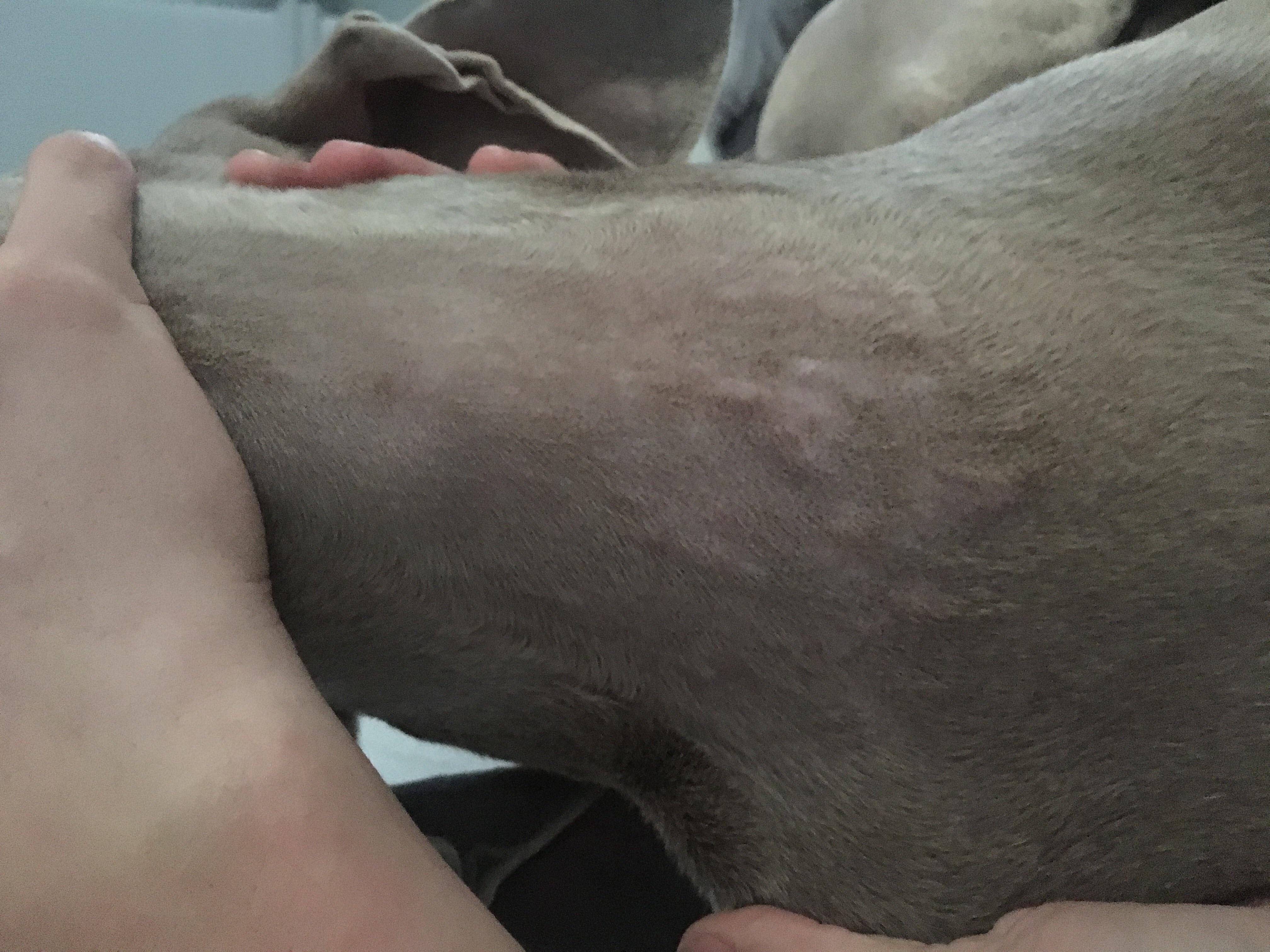 Question details sensitive content