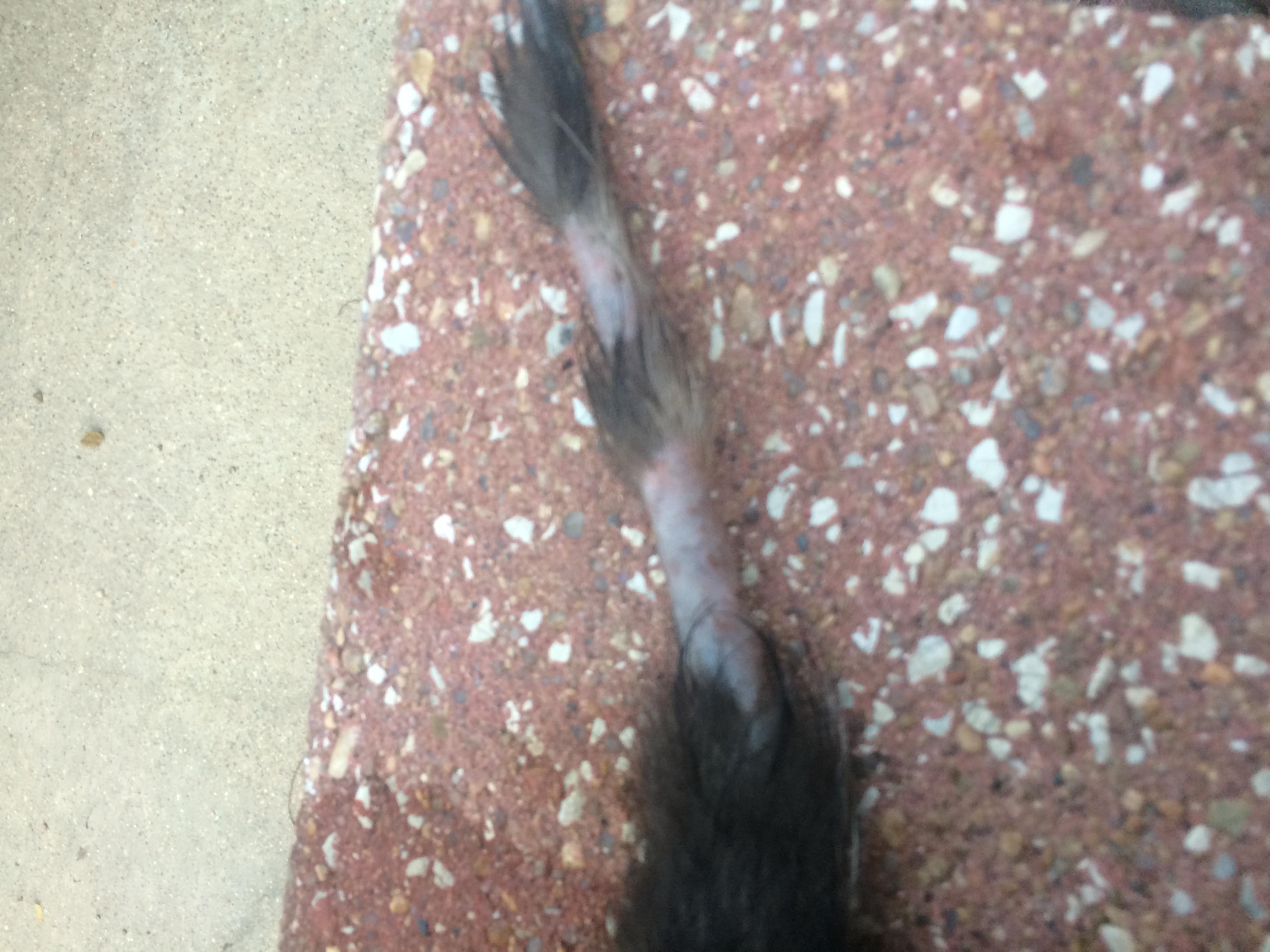 Question details sensitive content