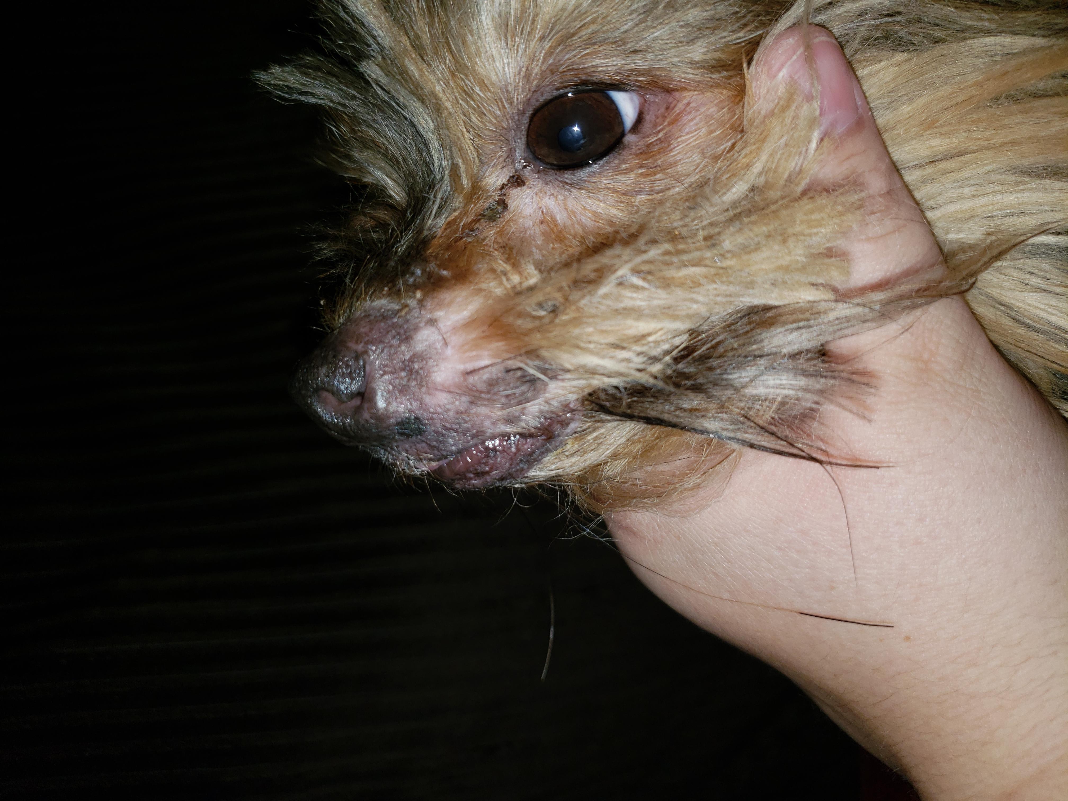 Question details sensitive content