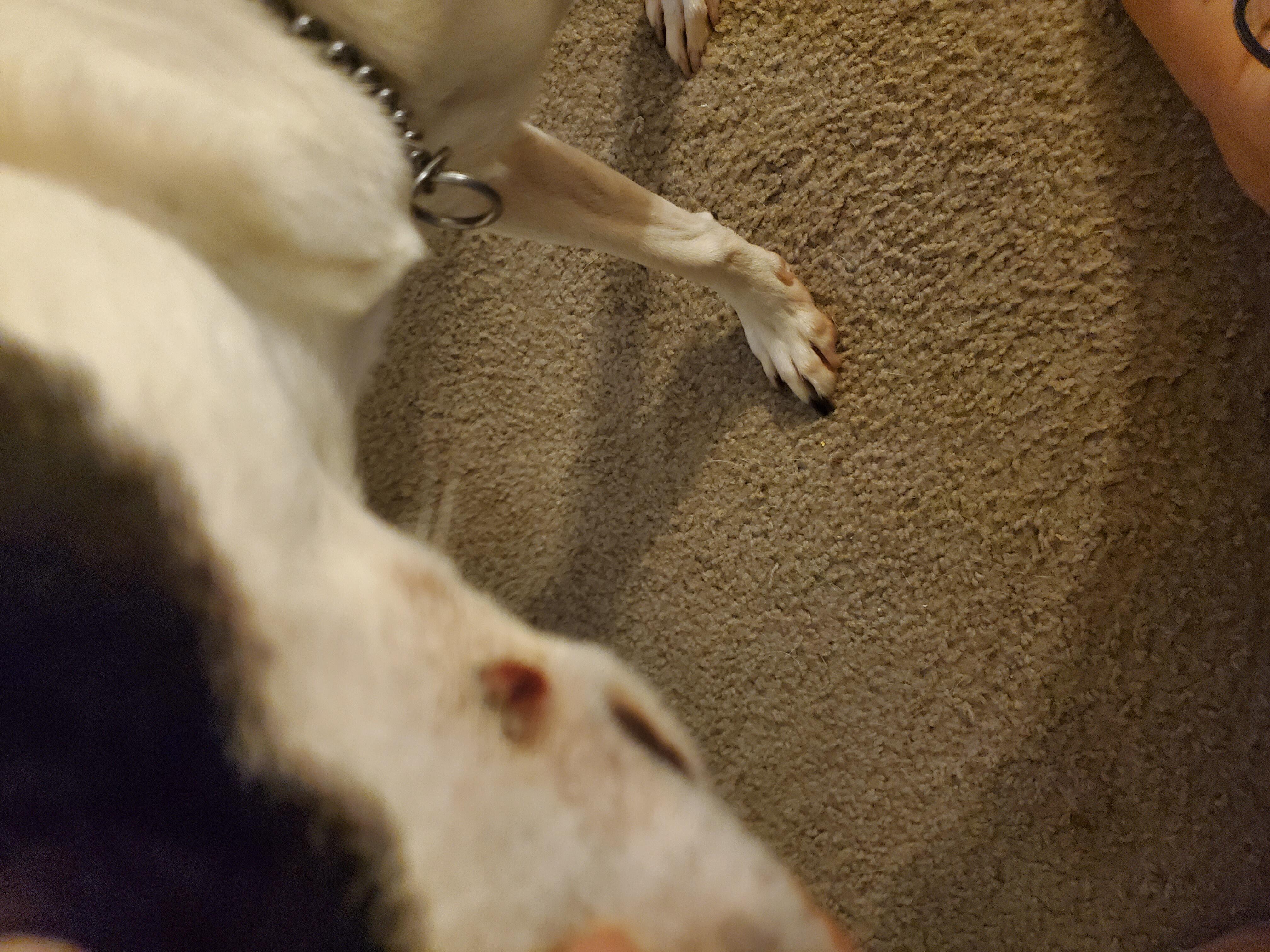 Question details sensitive content