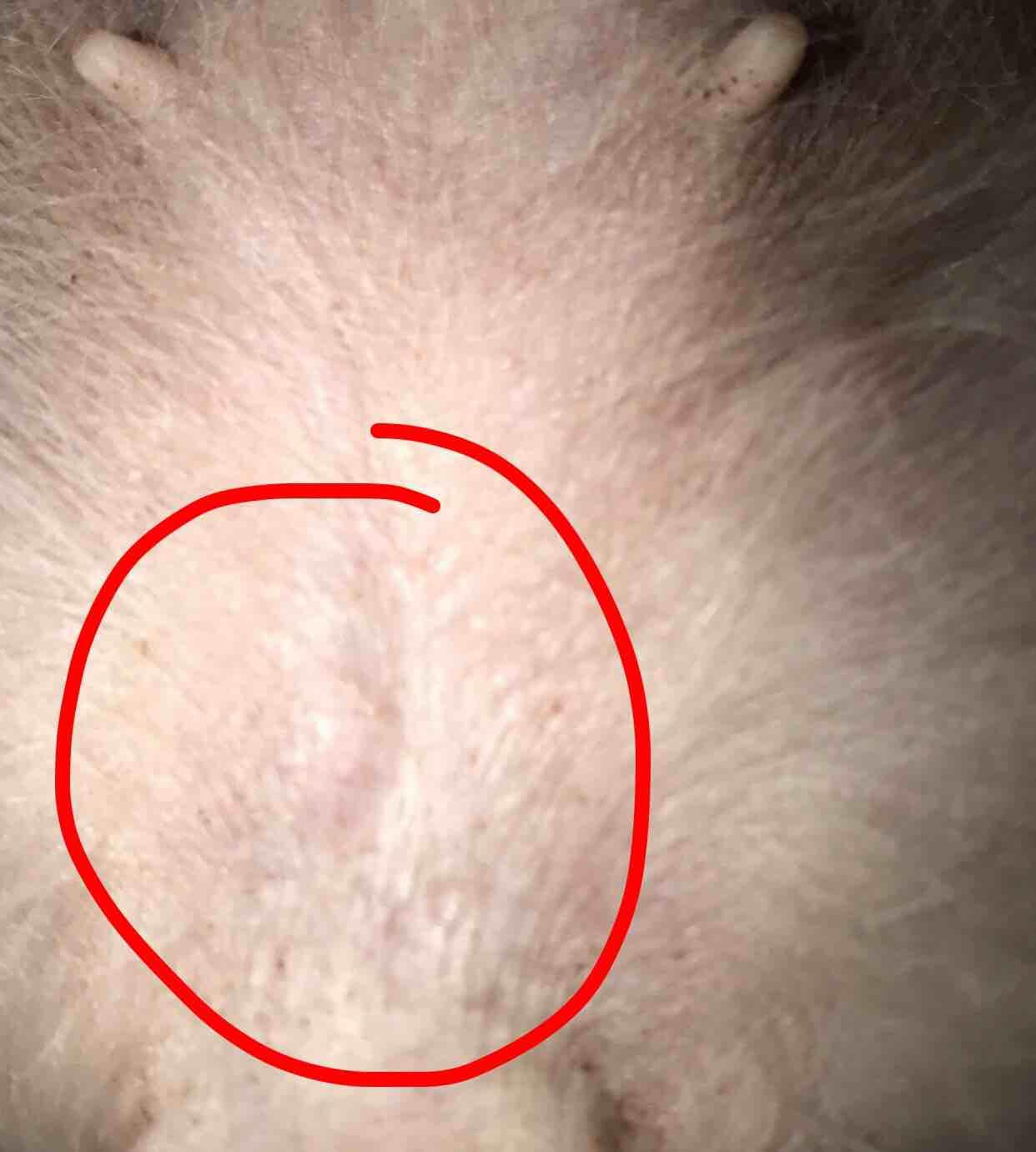 Question details sensitive content