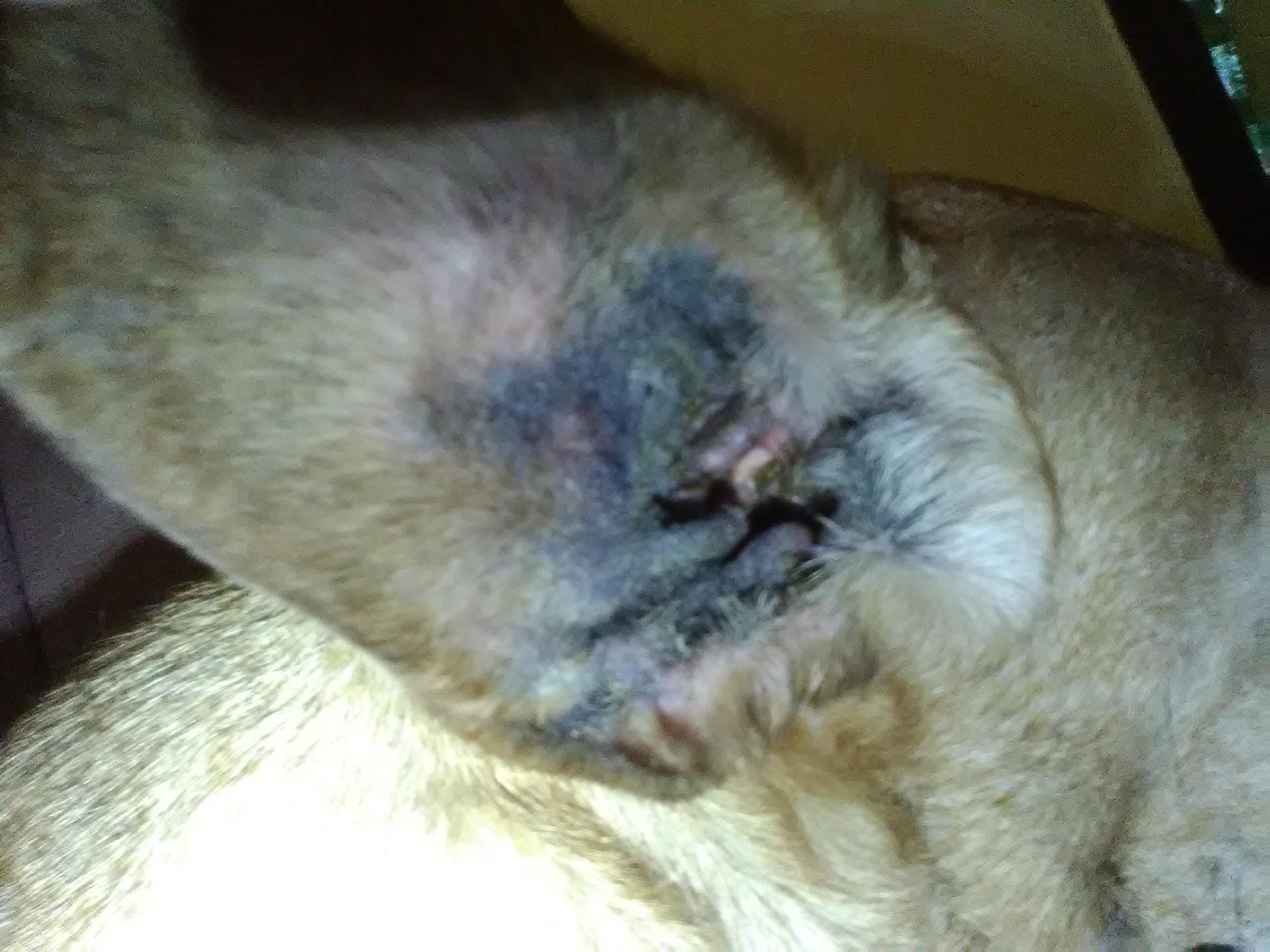 Question details sensitive content