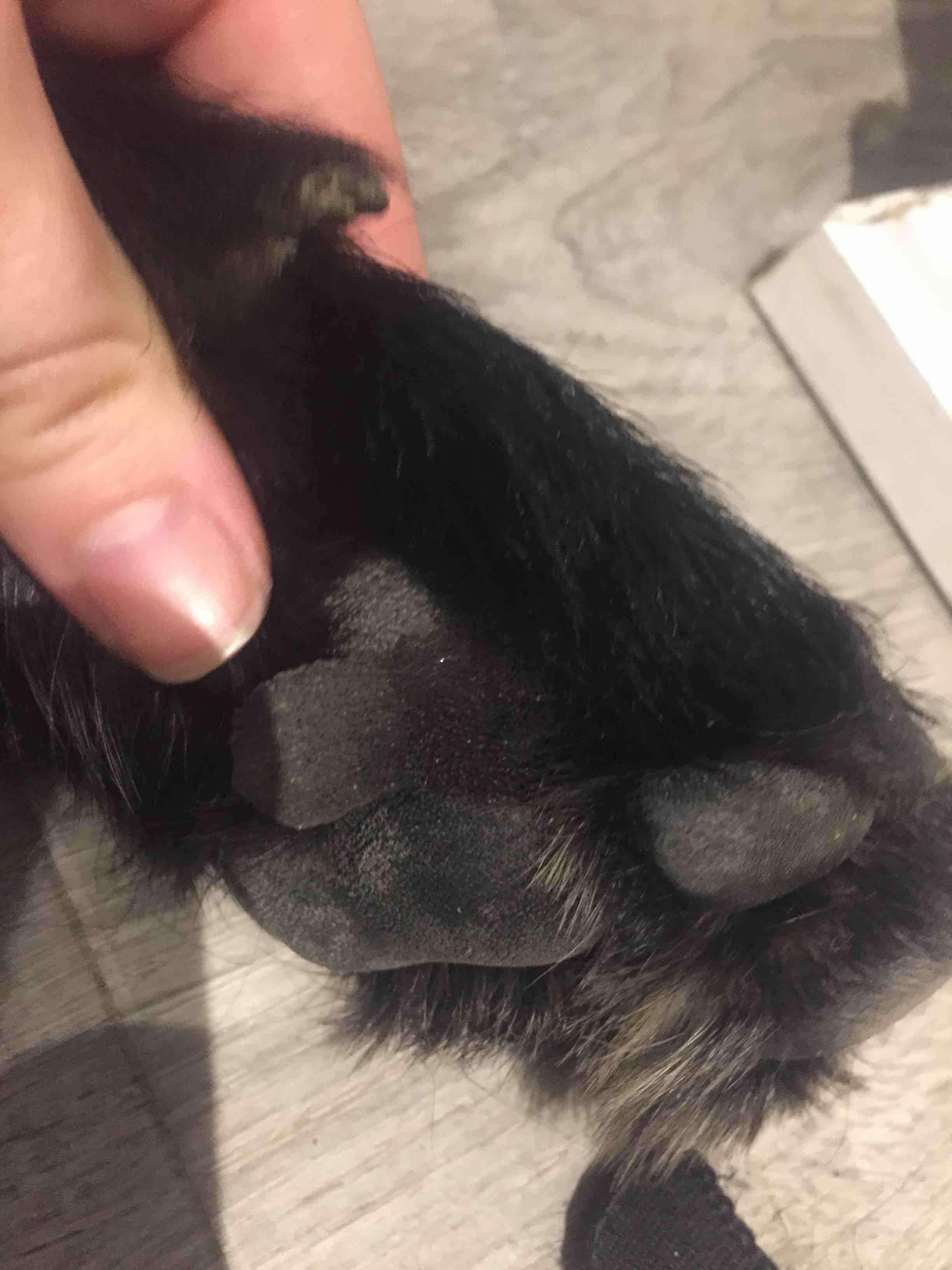 Question details sensitive content