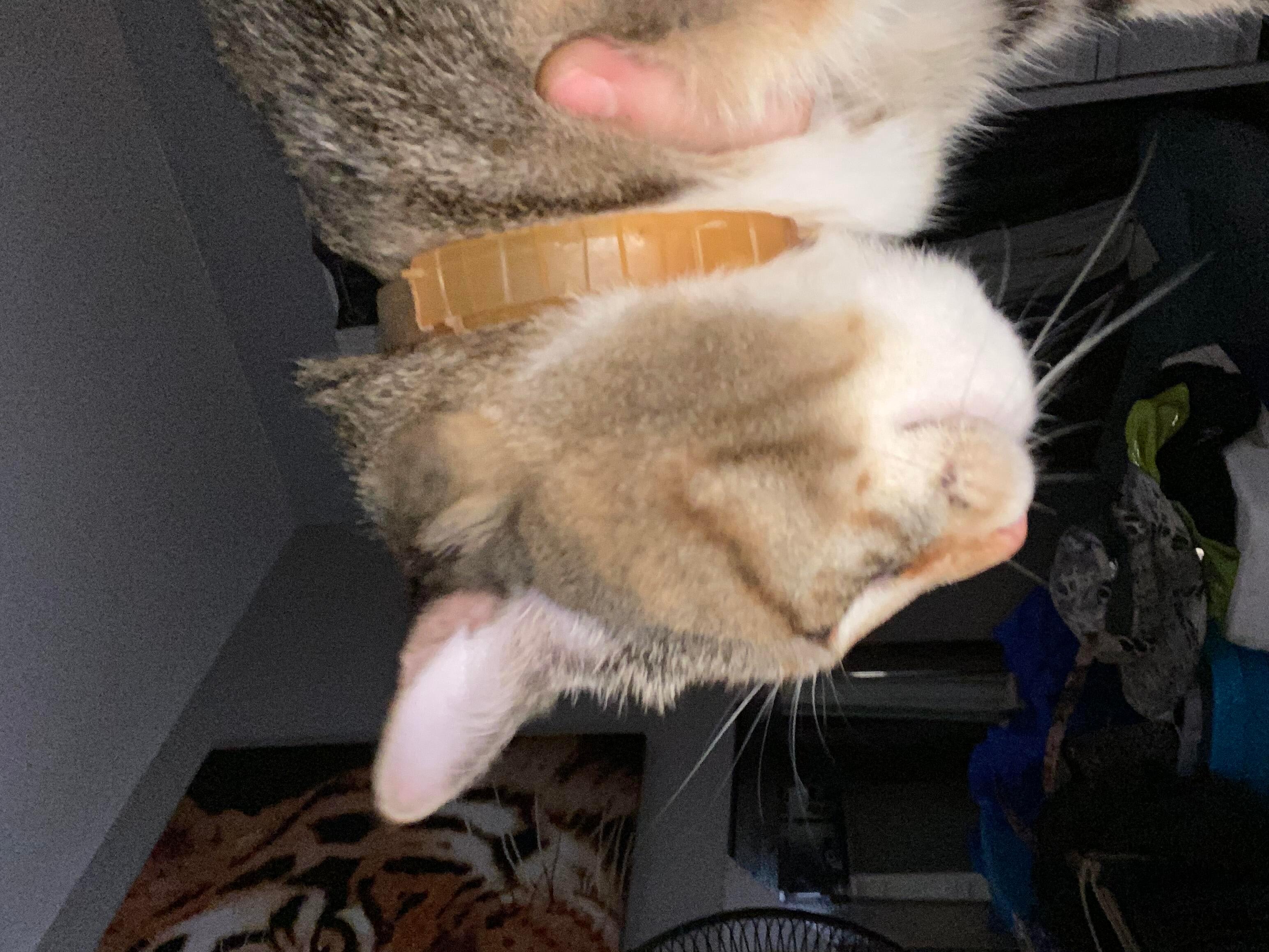 Question details sensitive content