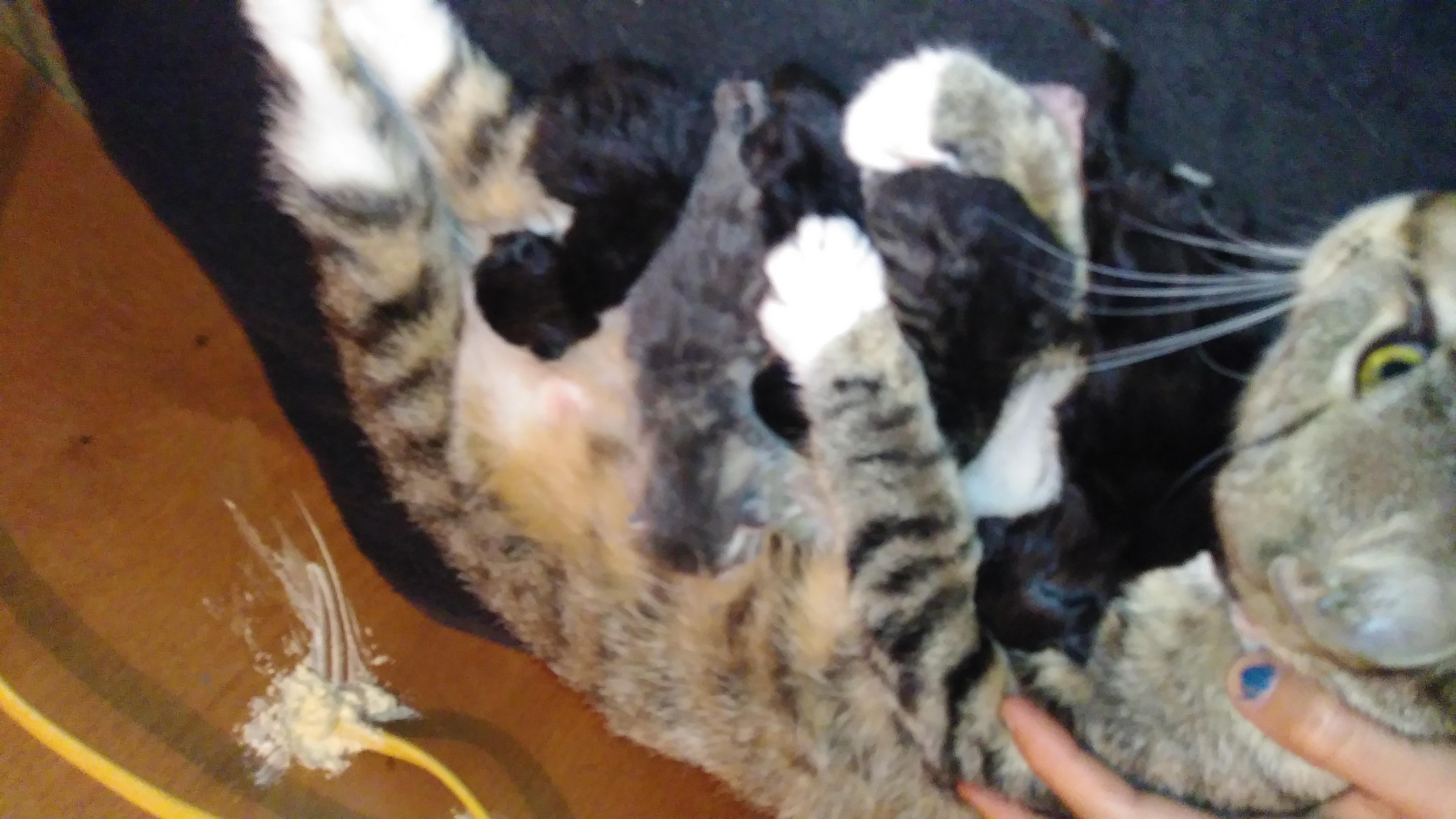 Question details sensitive content