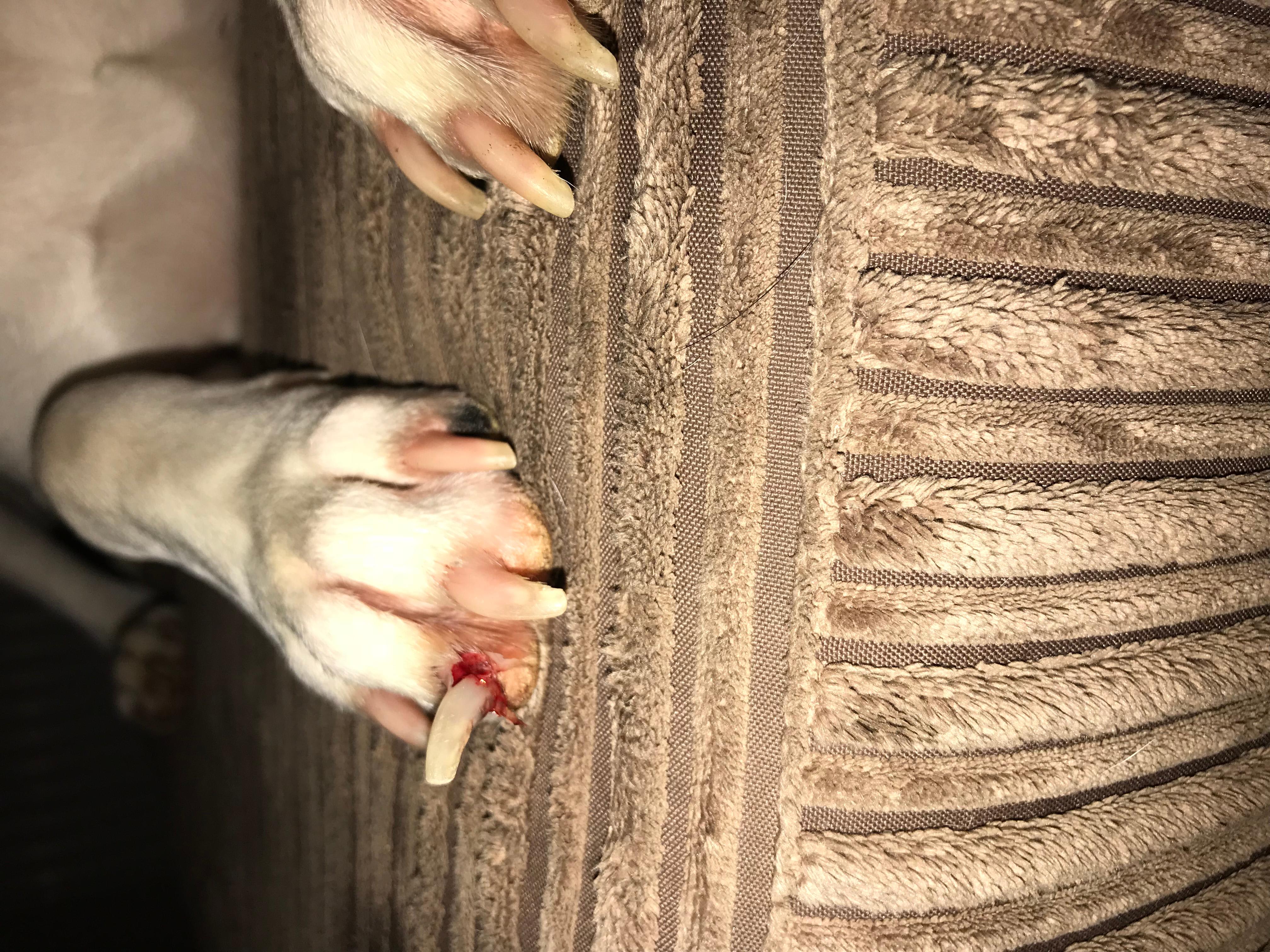 Question details sensitive content