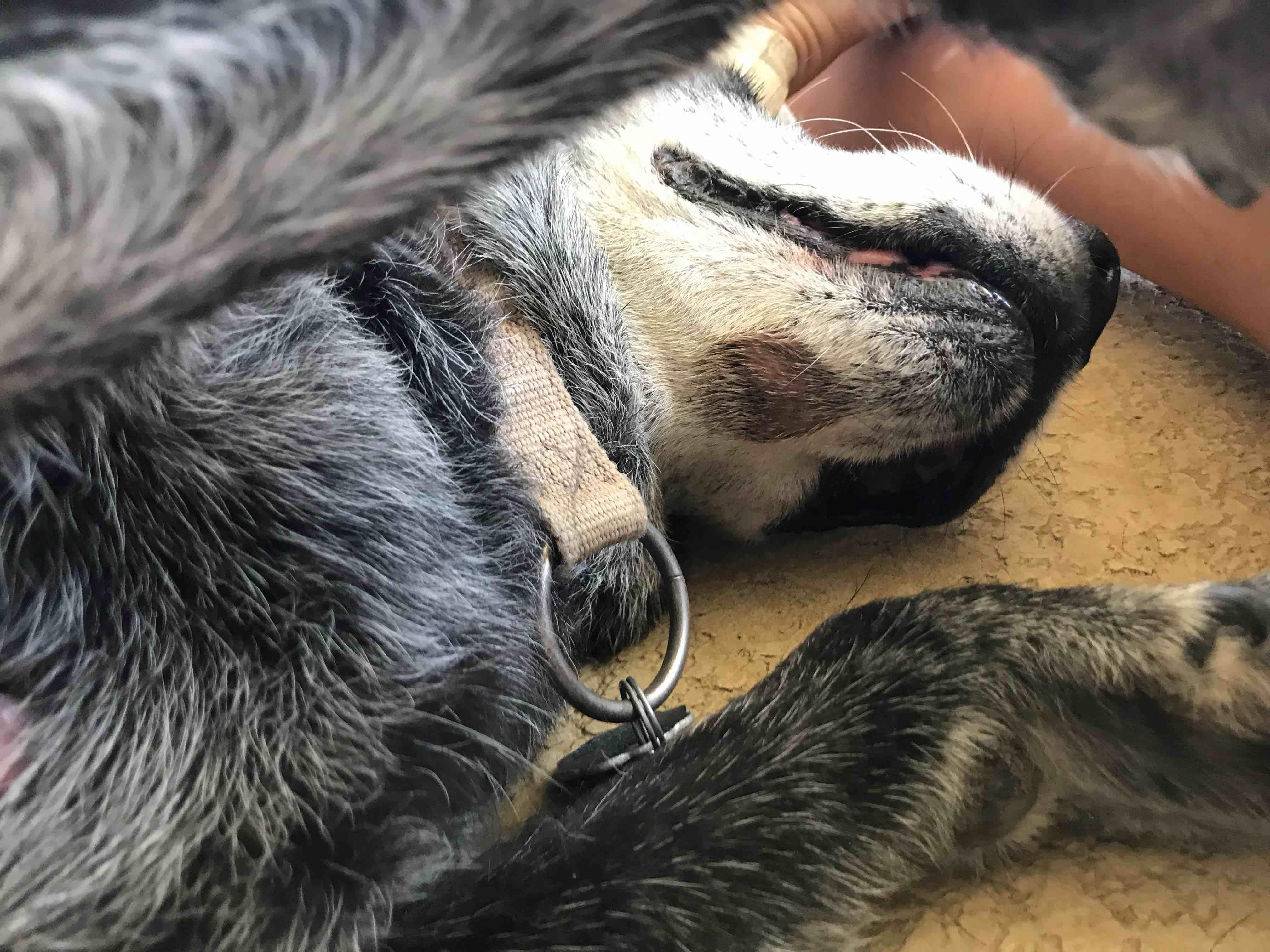 Question details sensitive content