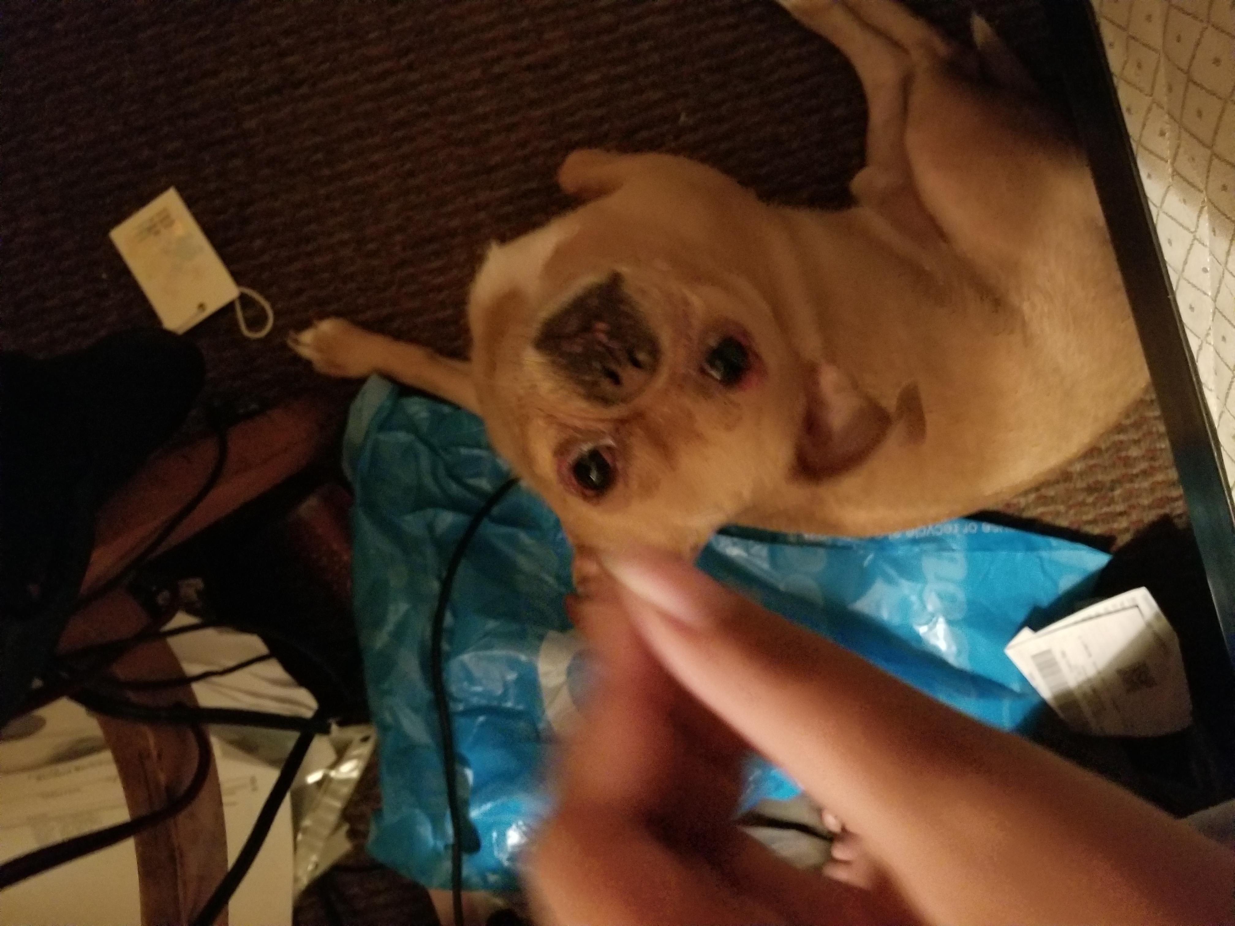 Question details sensitive content