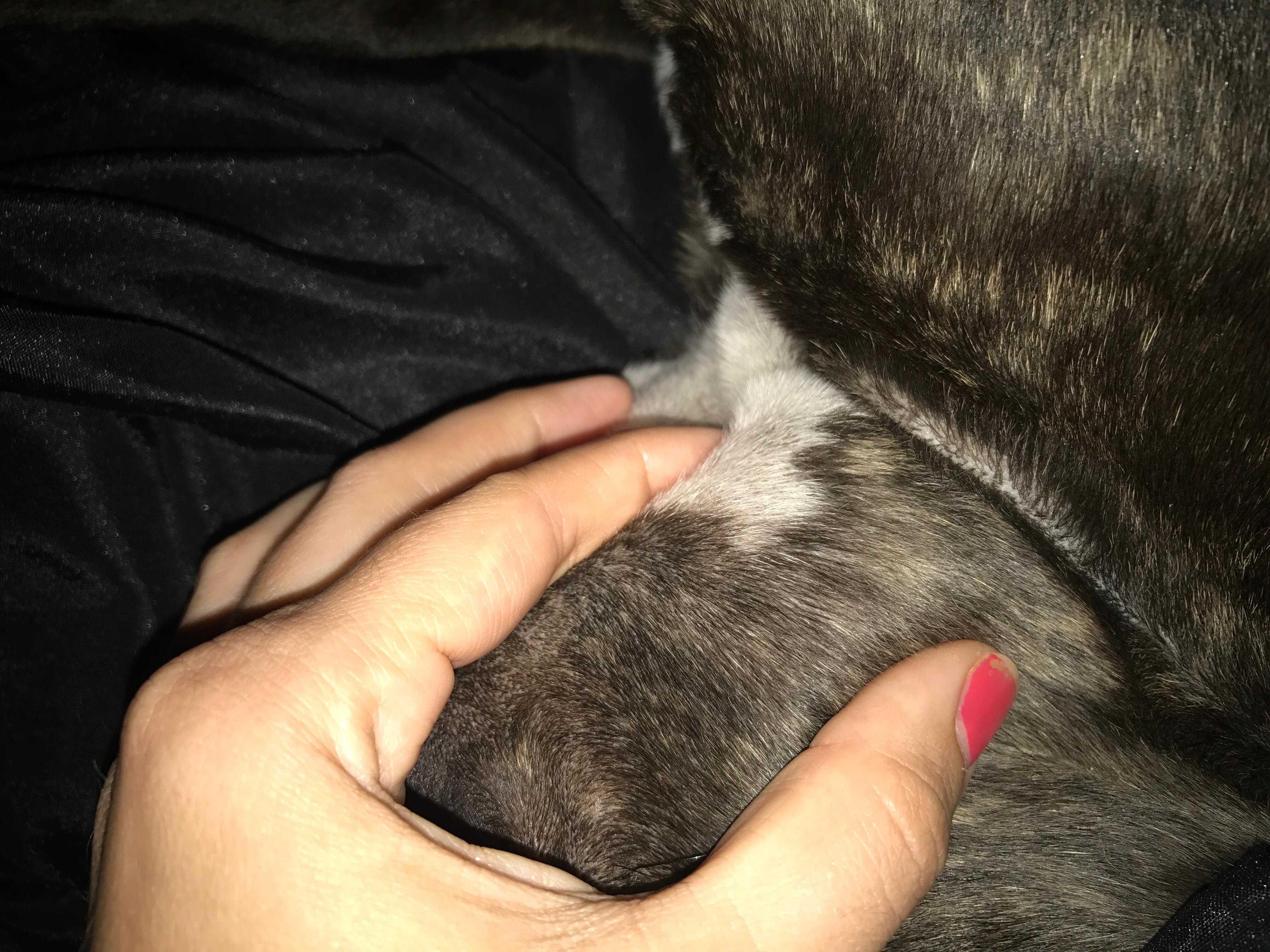 Question details sensitive content