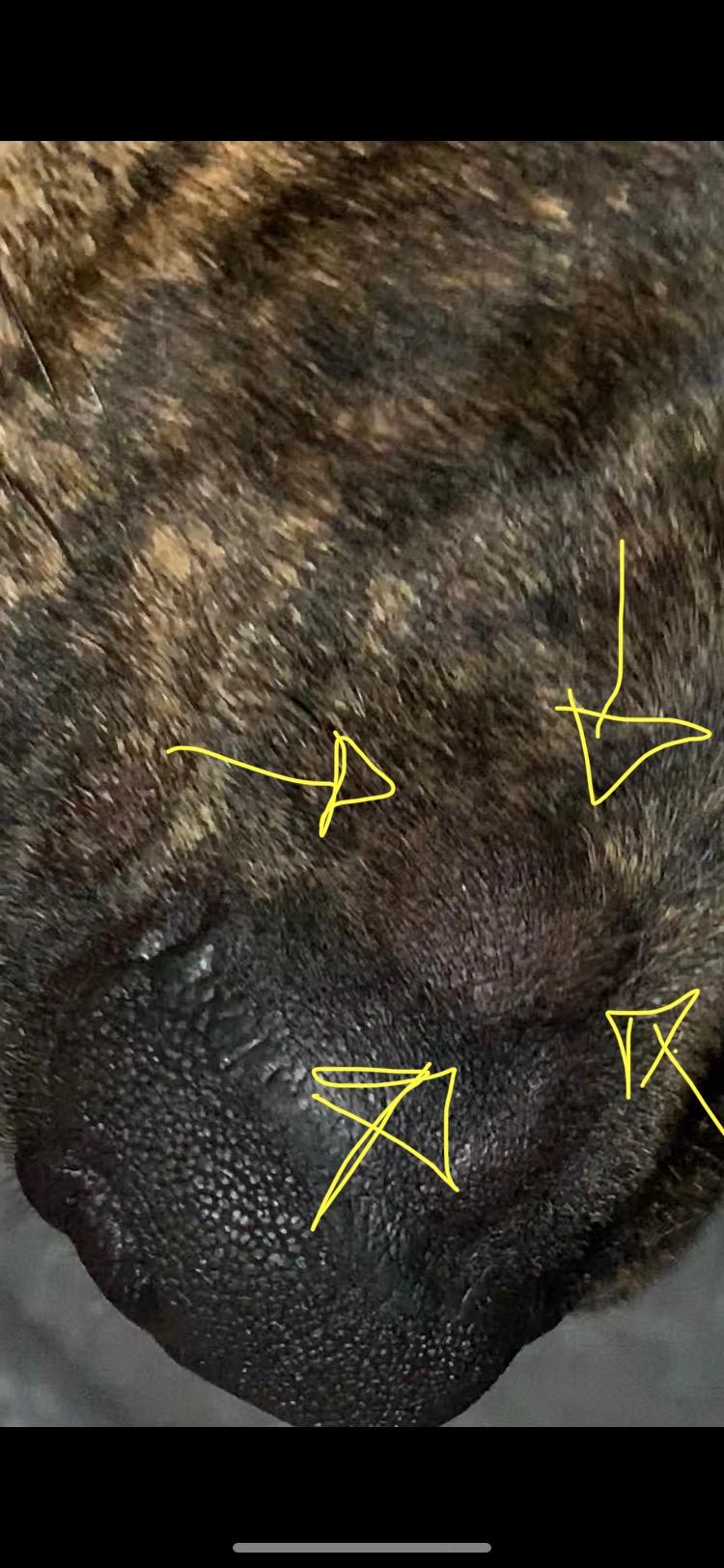 Question details sensitive content