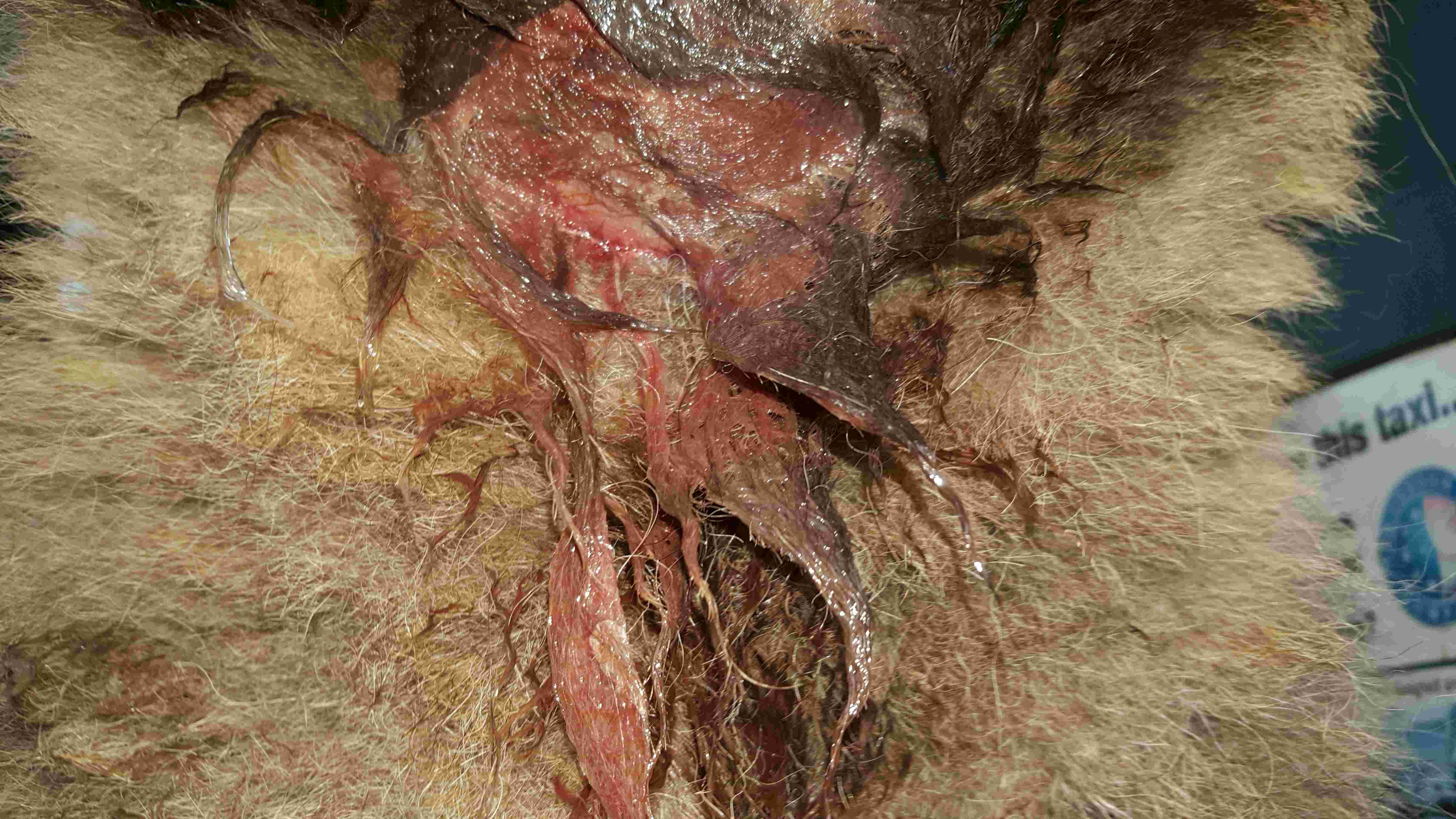 Question details sensitive content