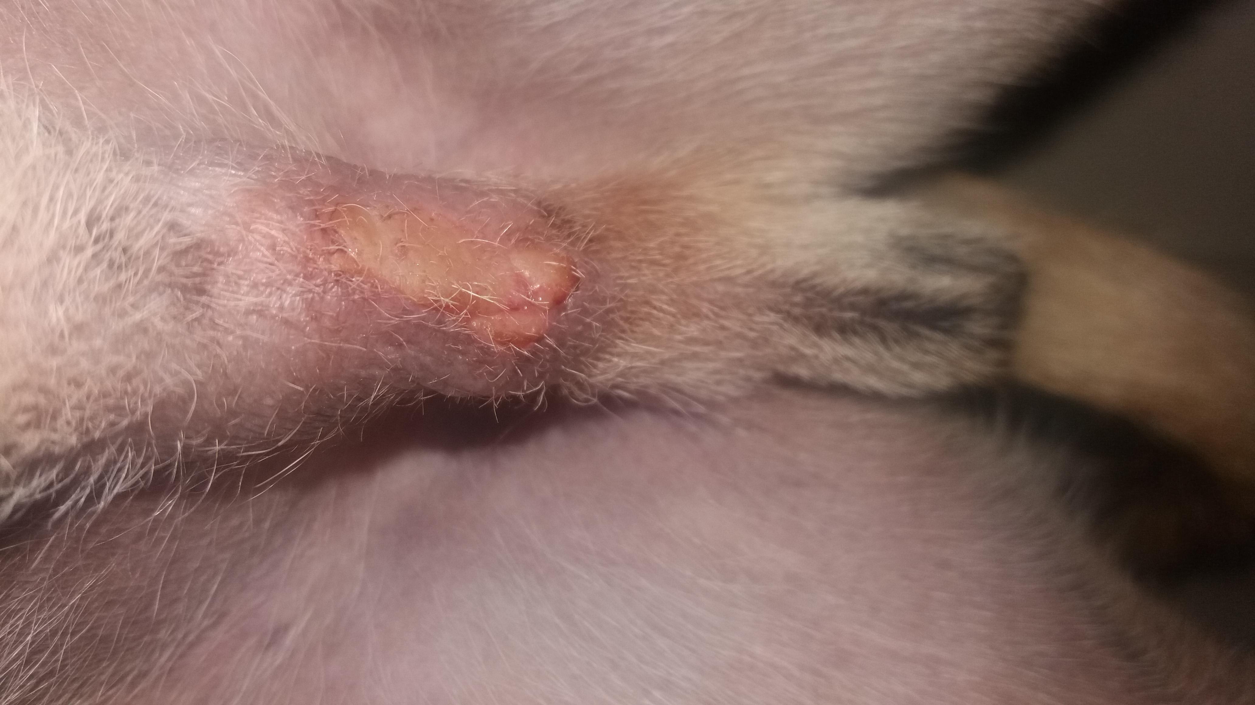 Question details sensitive content