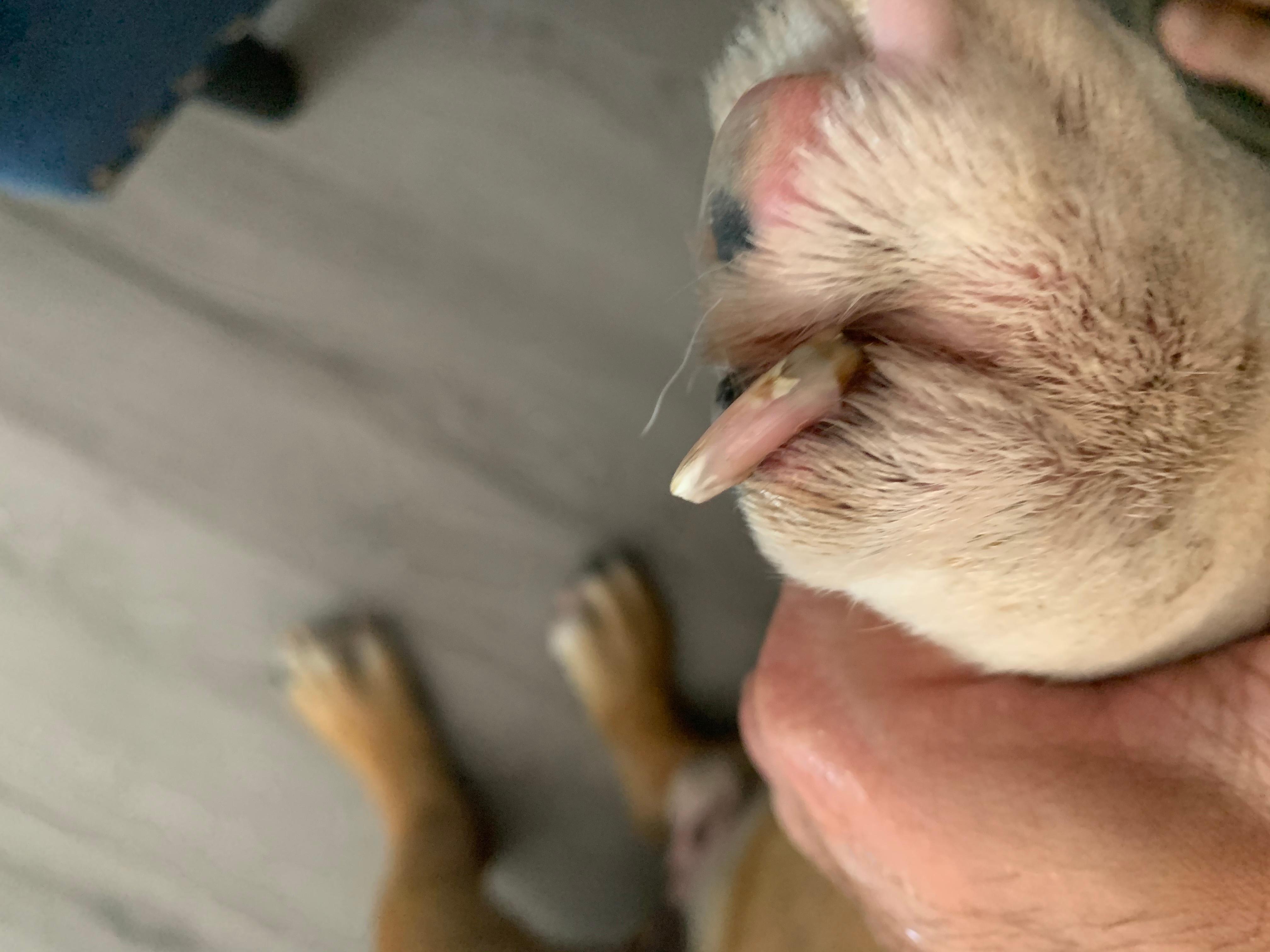 Question details sensitive content