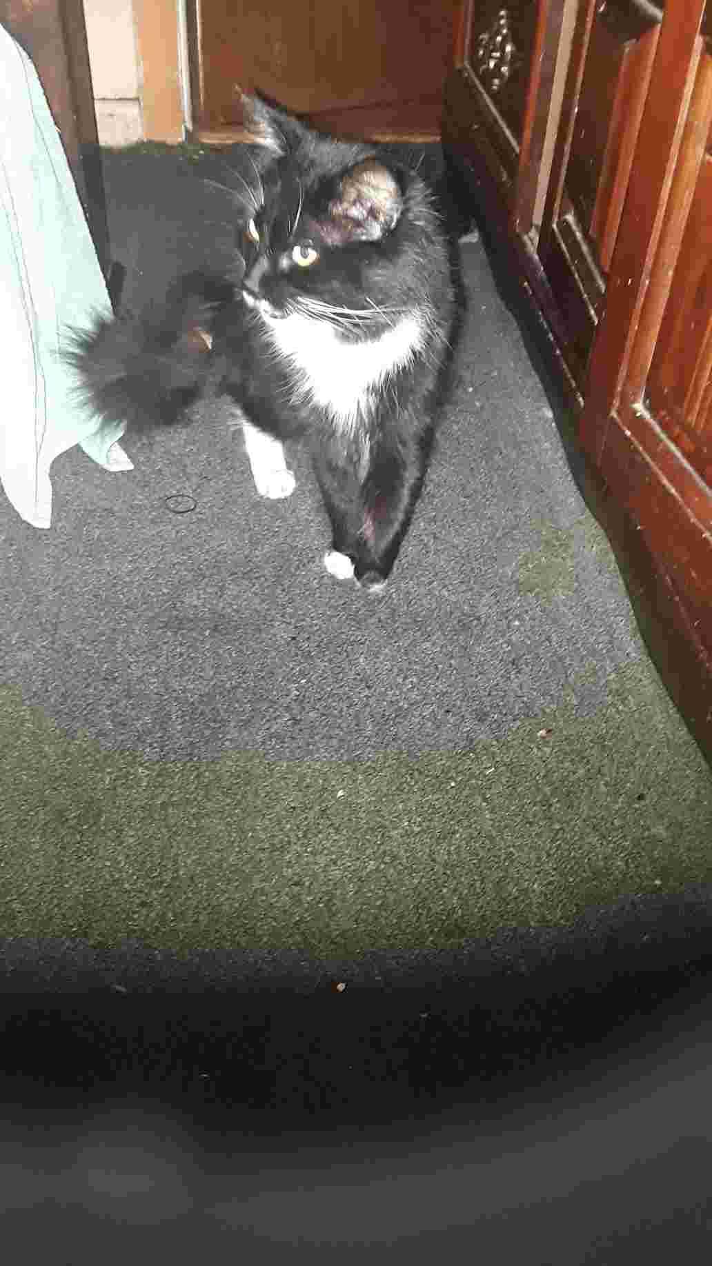 Question details sensitive content