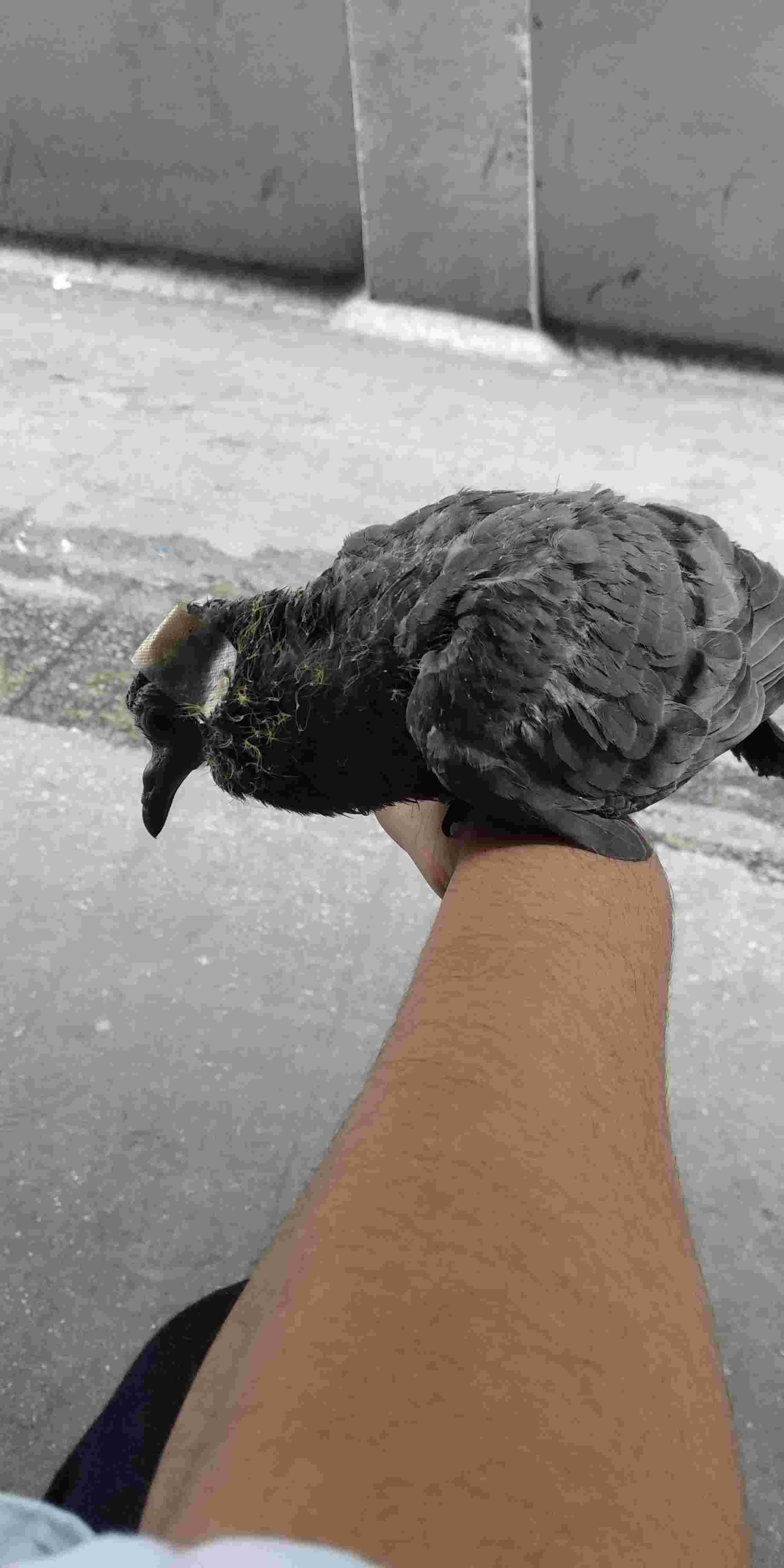 Question details sensitive content