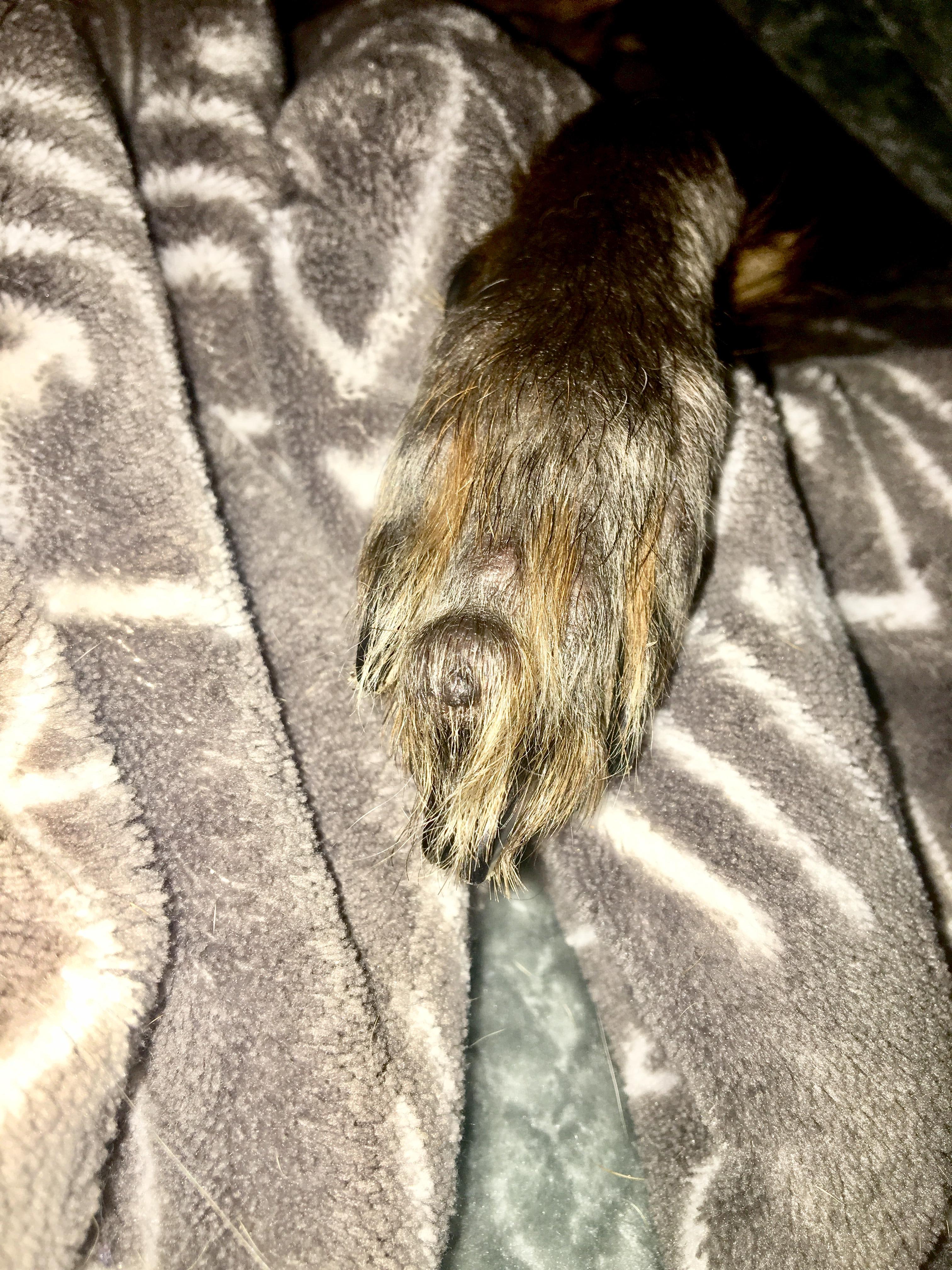 Question details sensitive content