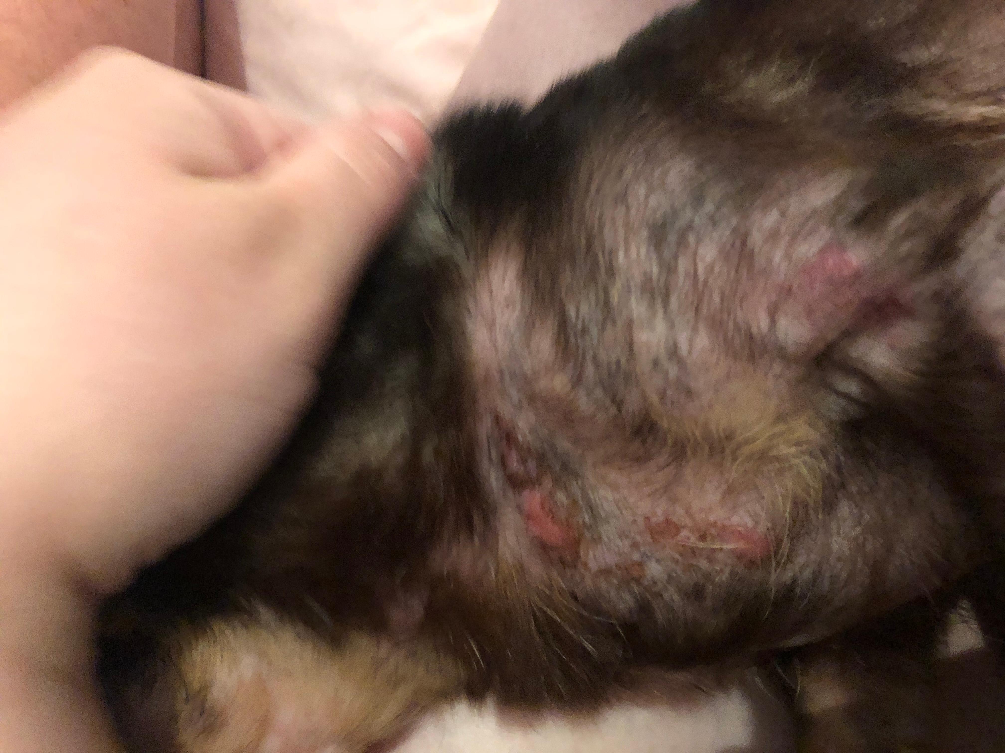 Question details sensitive content