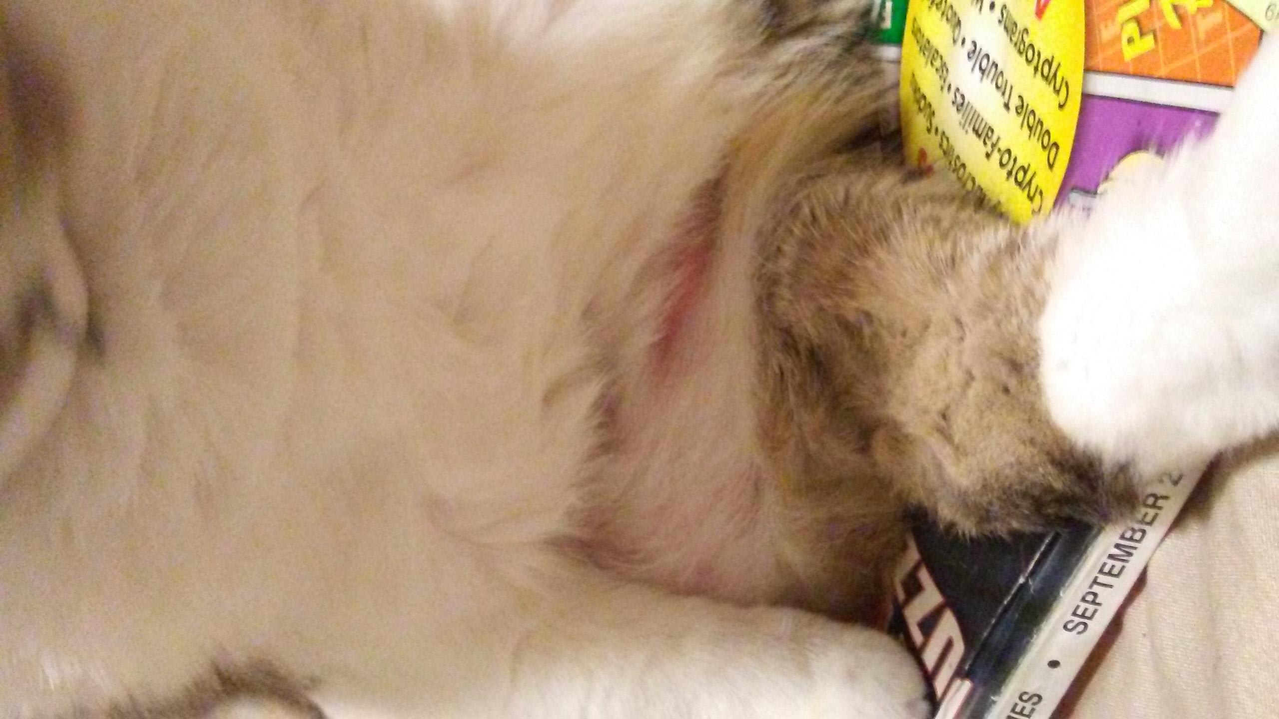 Question details sensitive content