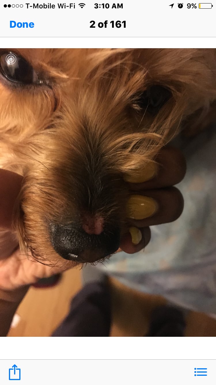 Question details sensitive content