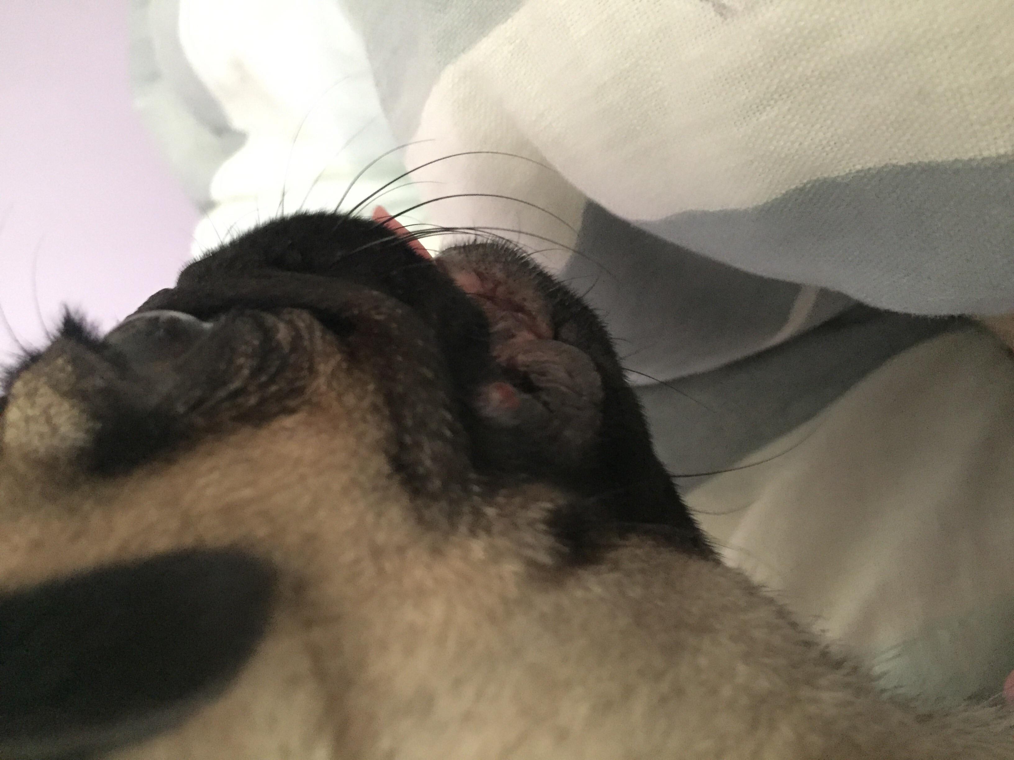 Question details sensitive content