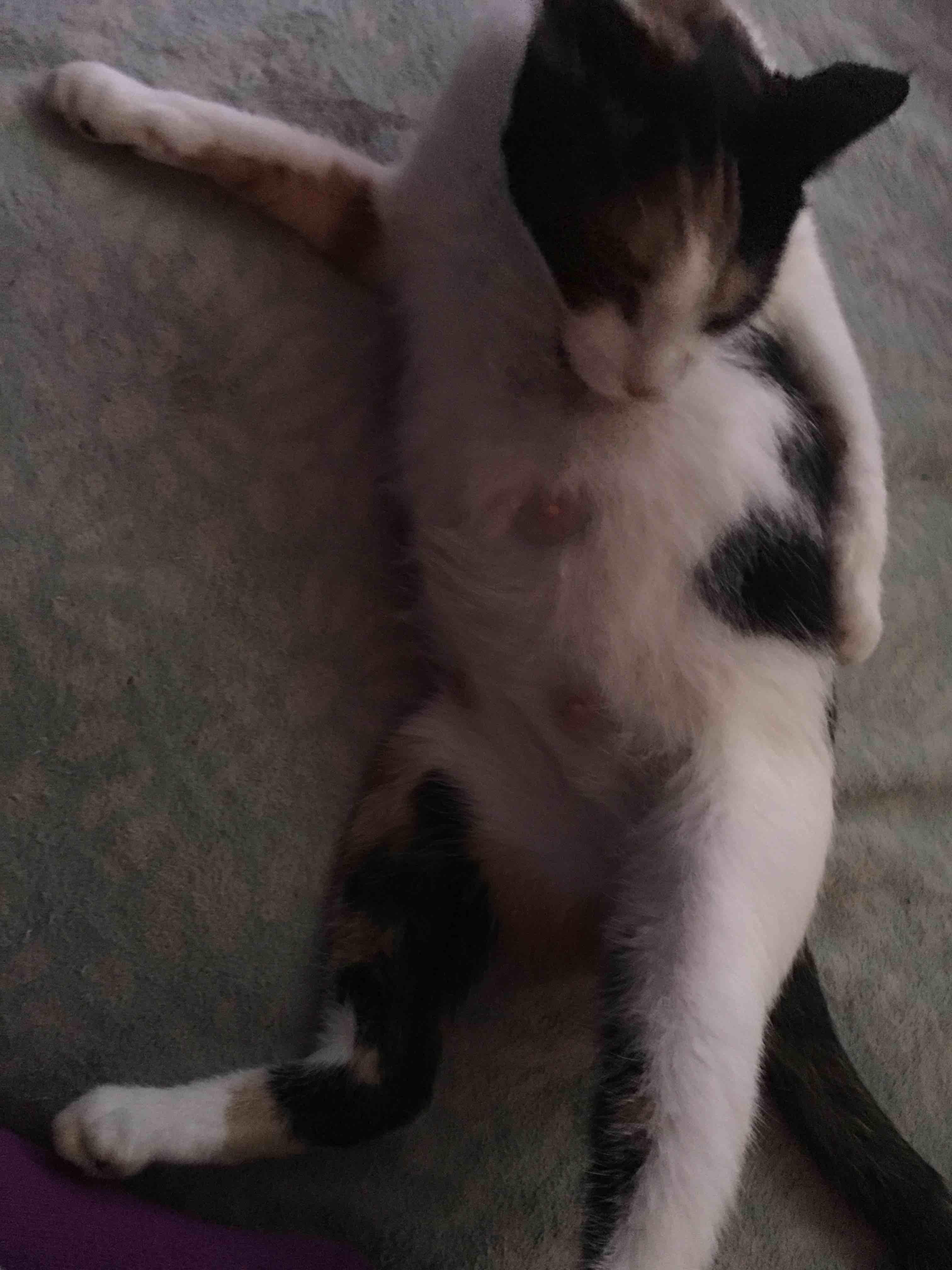 Question details sensitive content