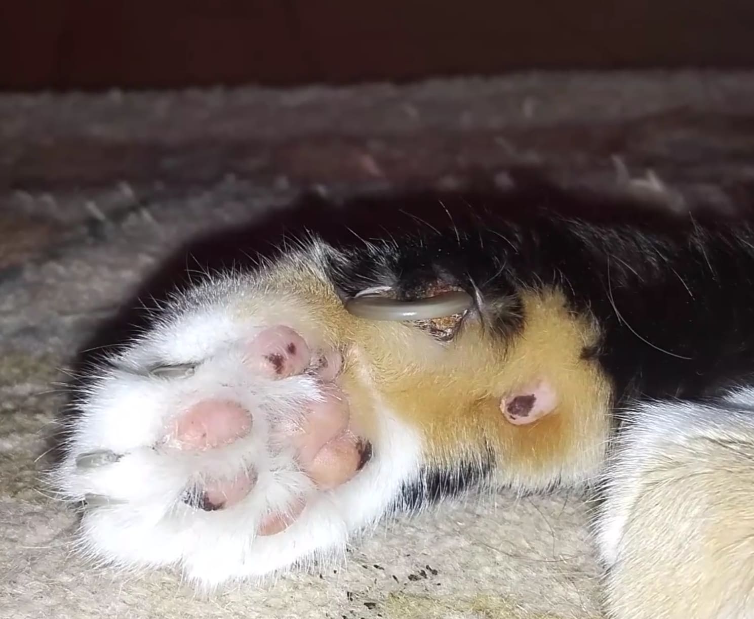 Question details sensitive content