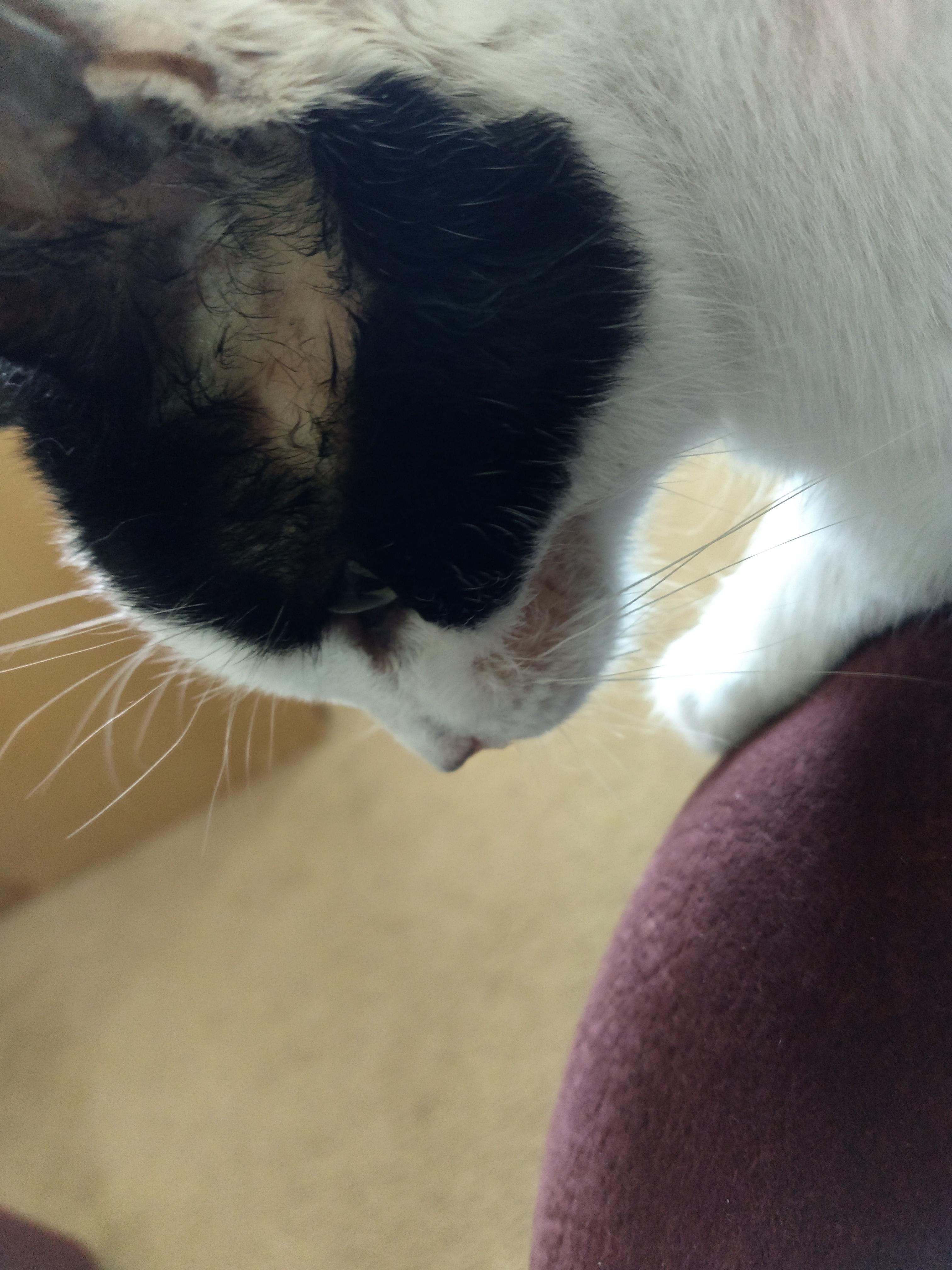 Question details sensitive content